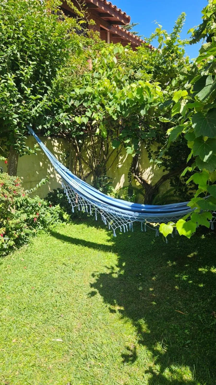 Patio in Hotel Riviera