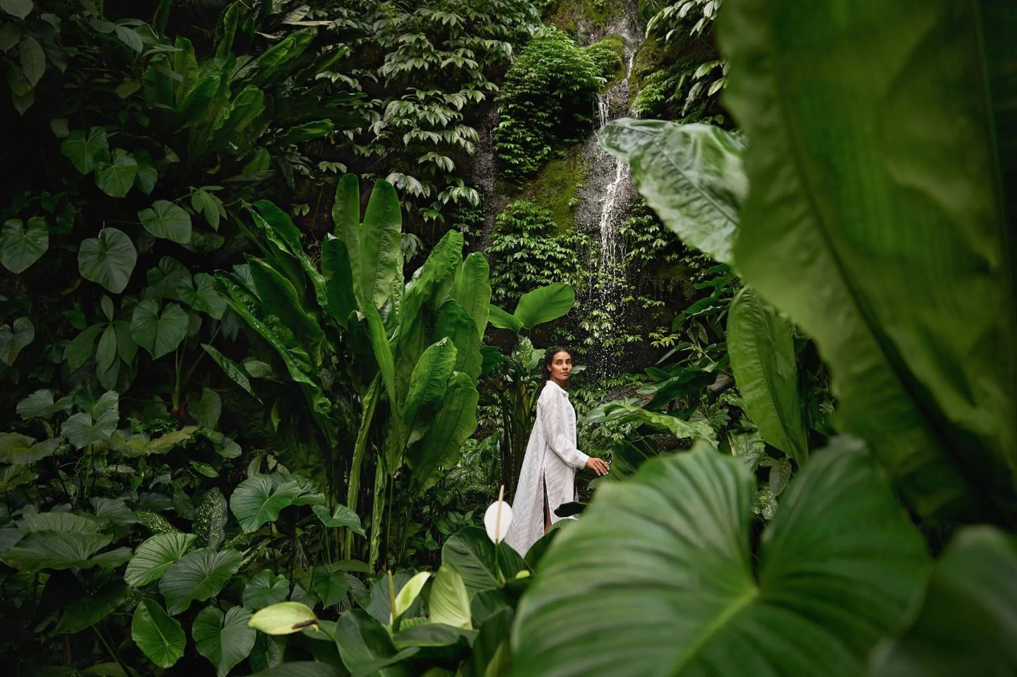 Property building in COMO Shambhala Estate