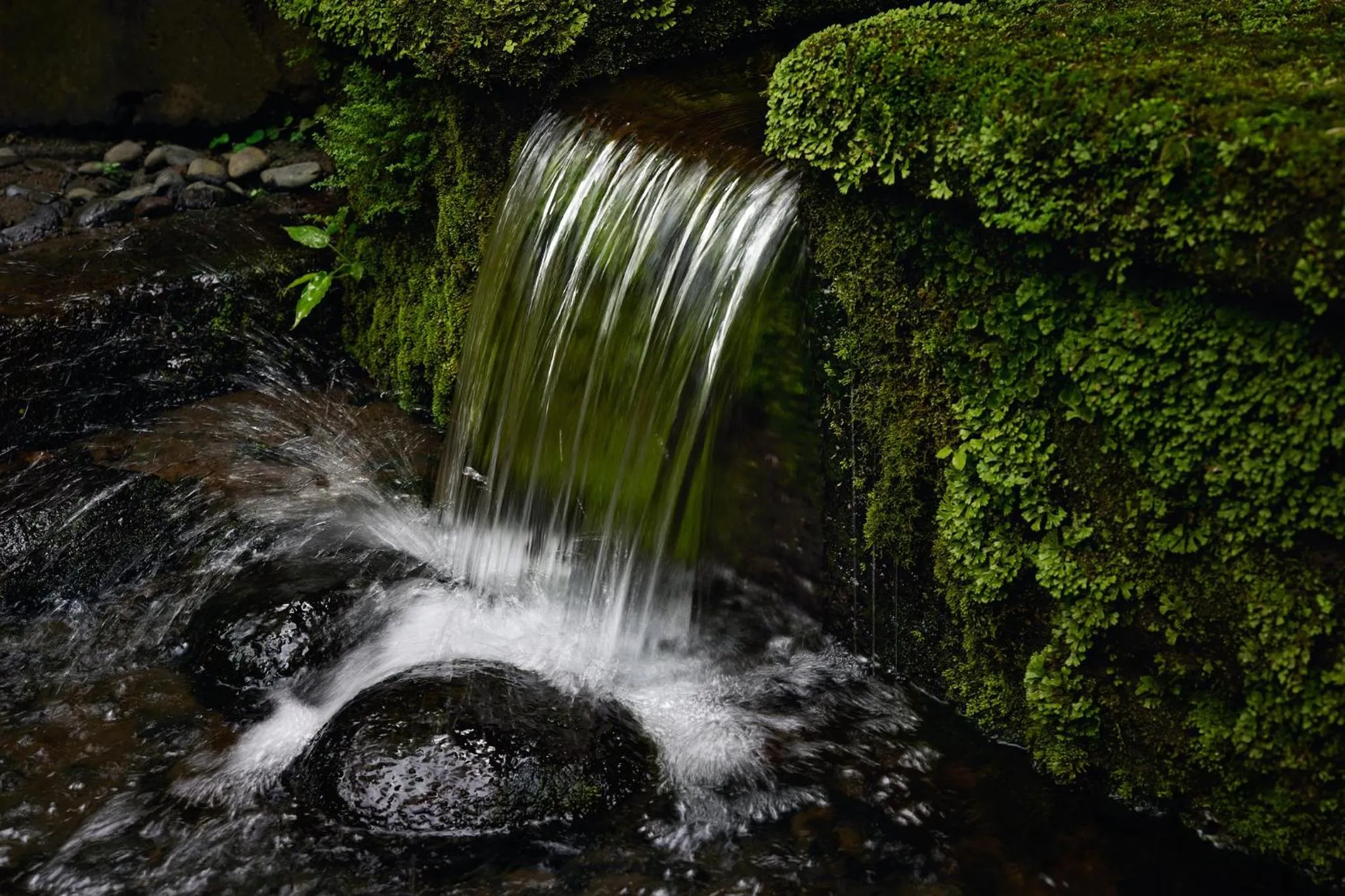 Property building in COMO Shambhala Estate