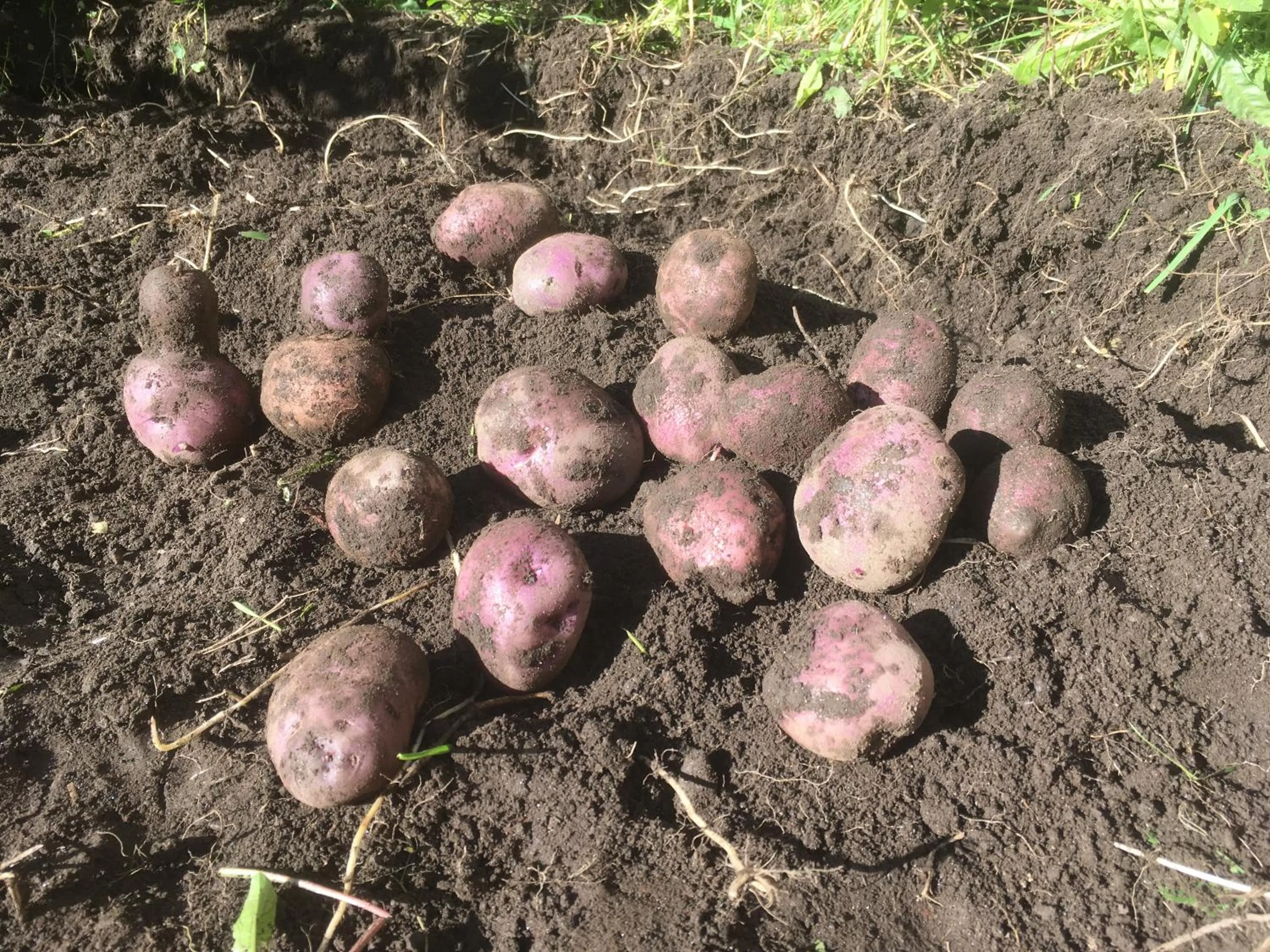 Bed&Bike Tremola San Gottardo