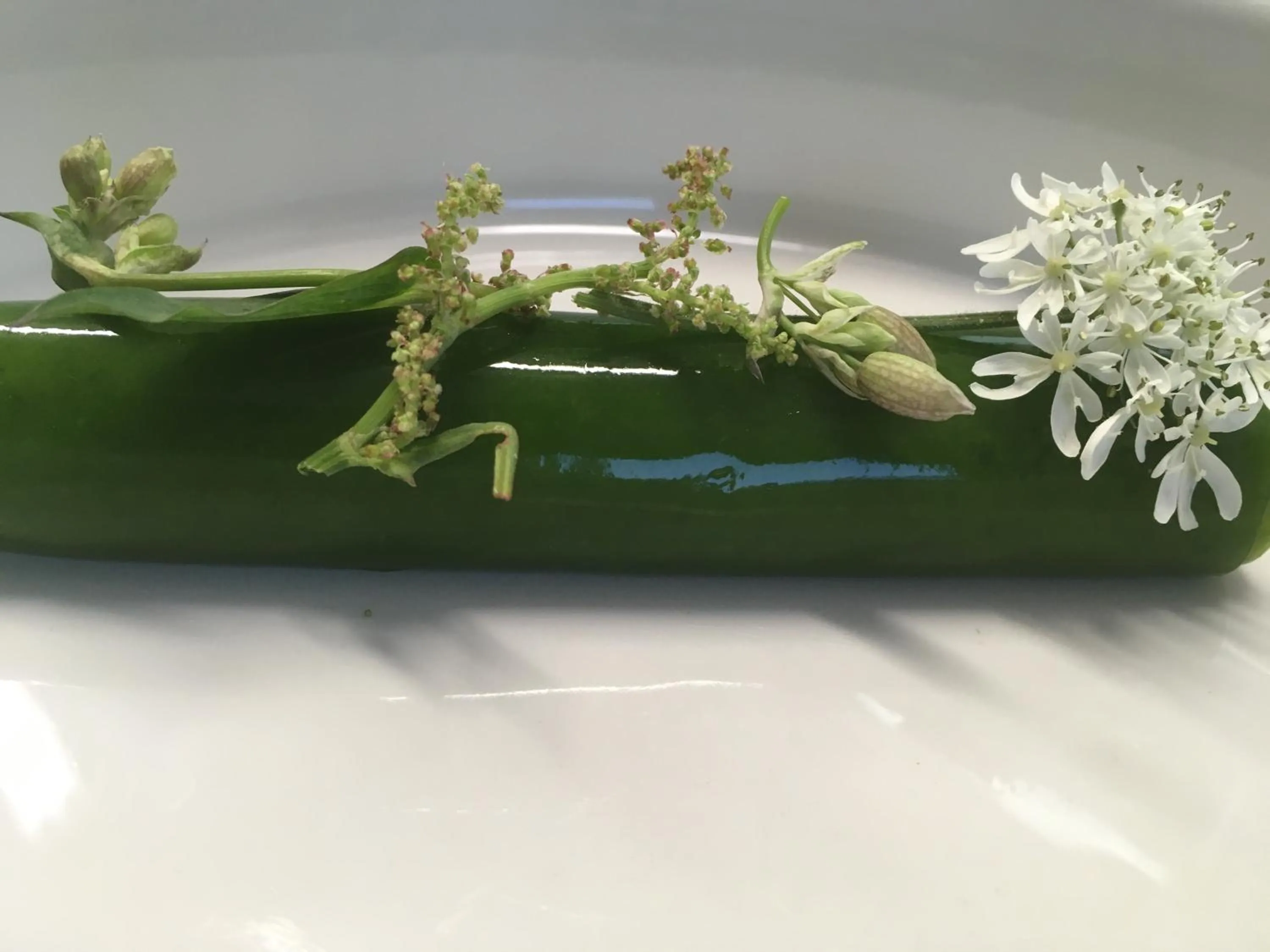 Bed&Bike Tremola San Gottardo