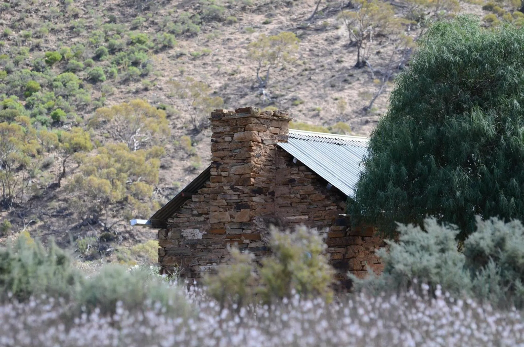 Natural landscape in Burra Motor Inn