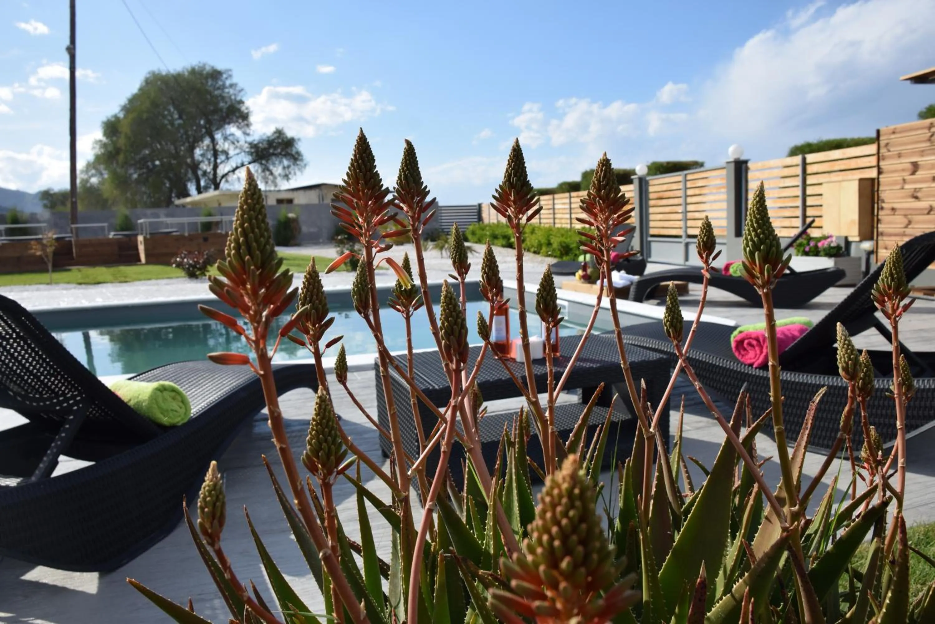 Garden in Isola Apartments