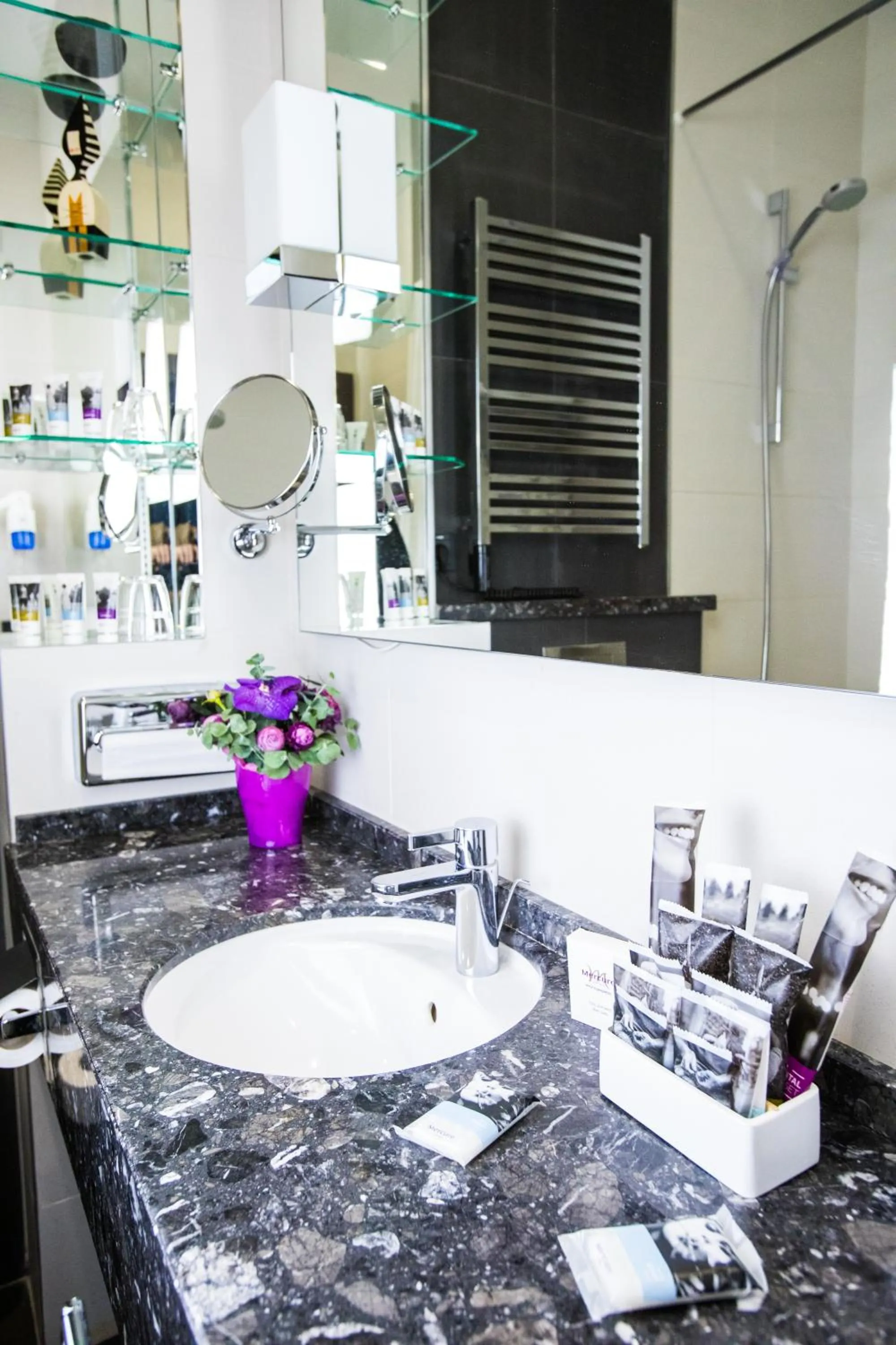 Bathroom in Mercure Kyiv Congress