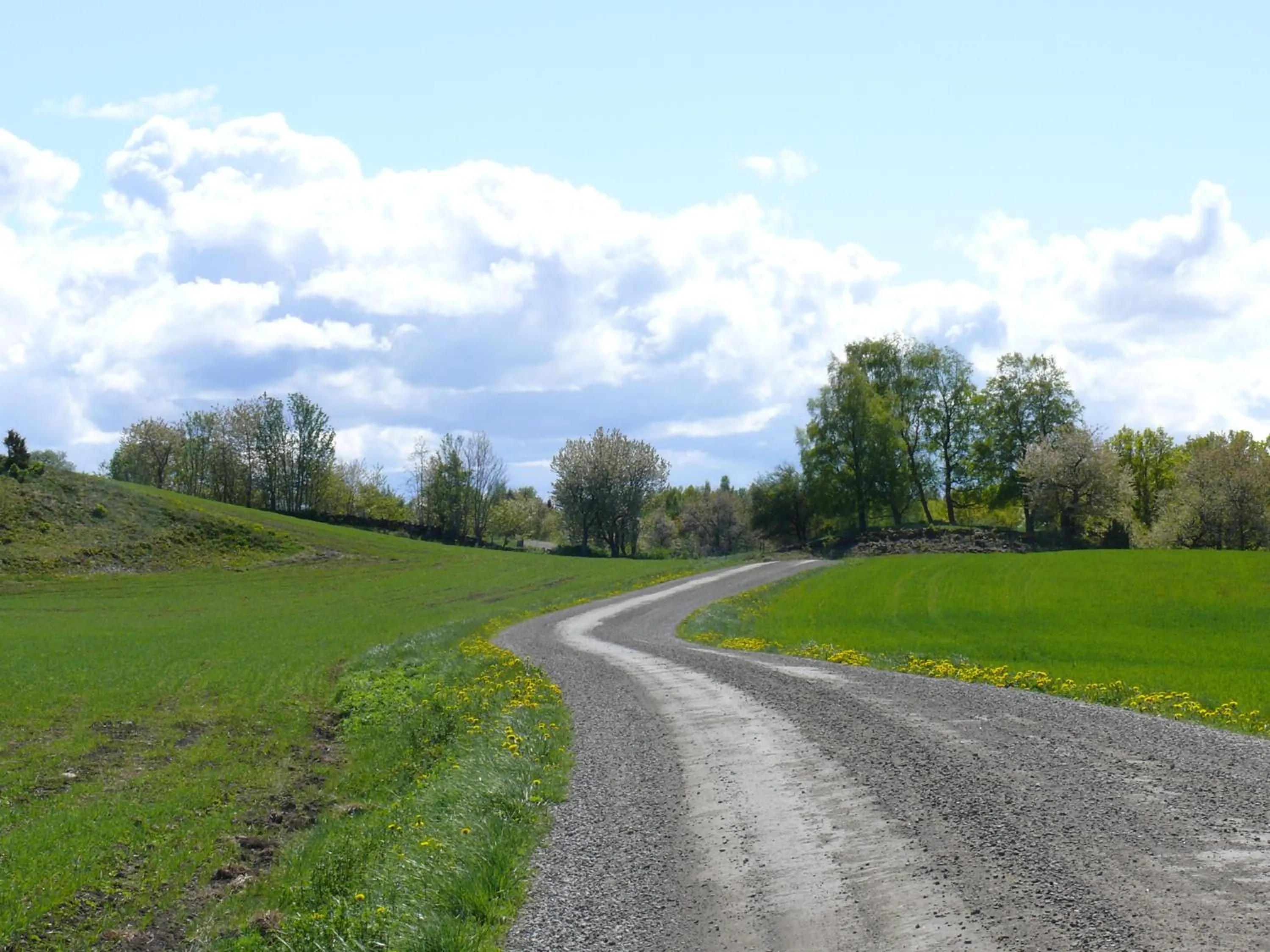 Neighbourhood in Lugnåsberget Ekohotell