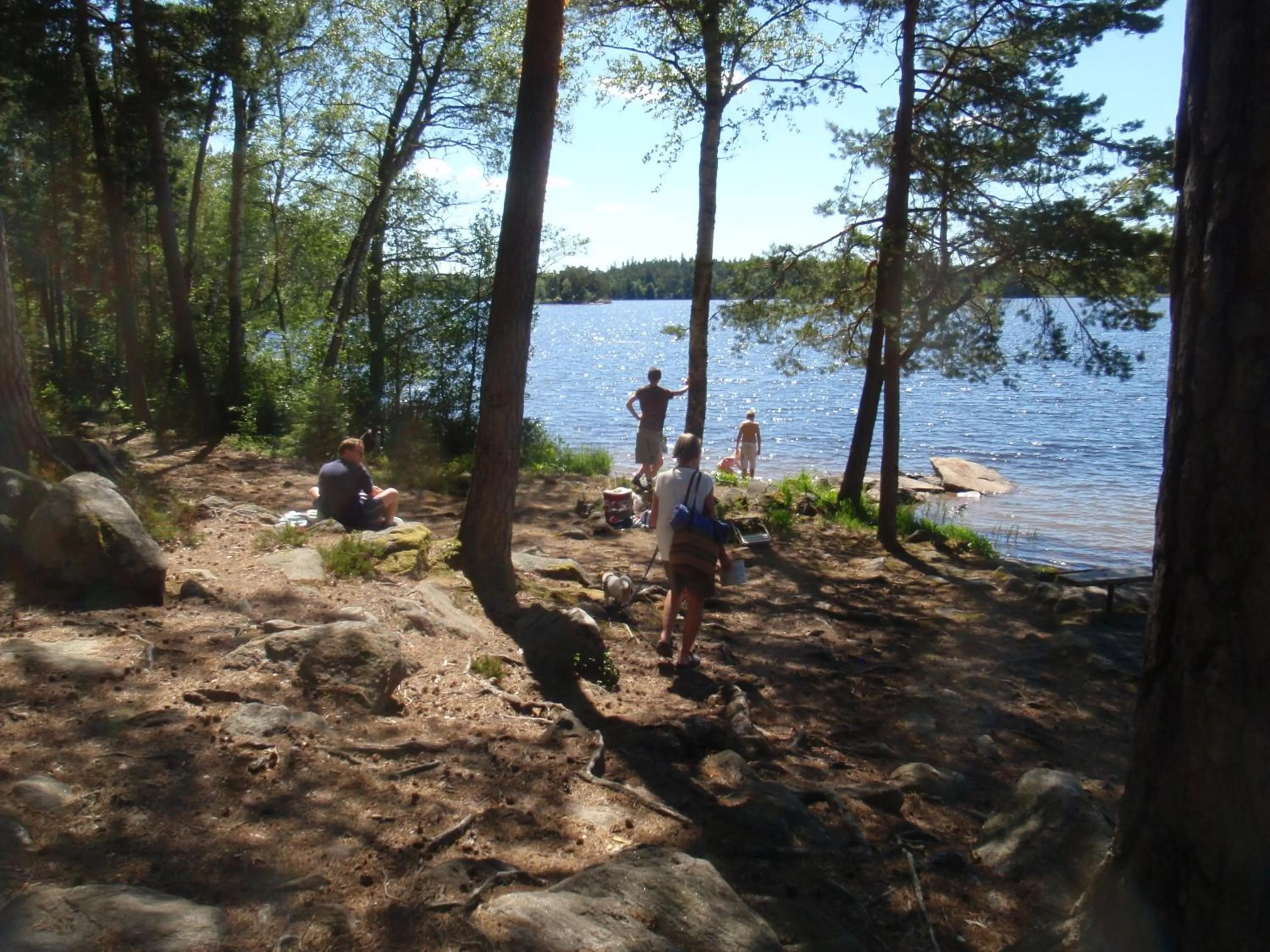 Natural landscape in Lugnåsberget Ekohotell