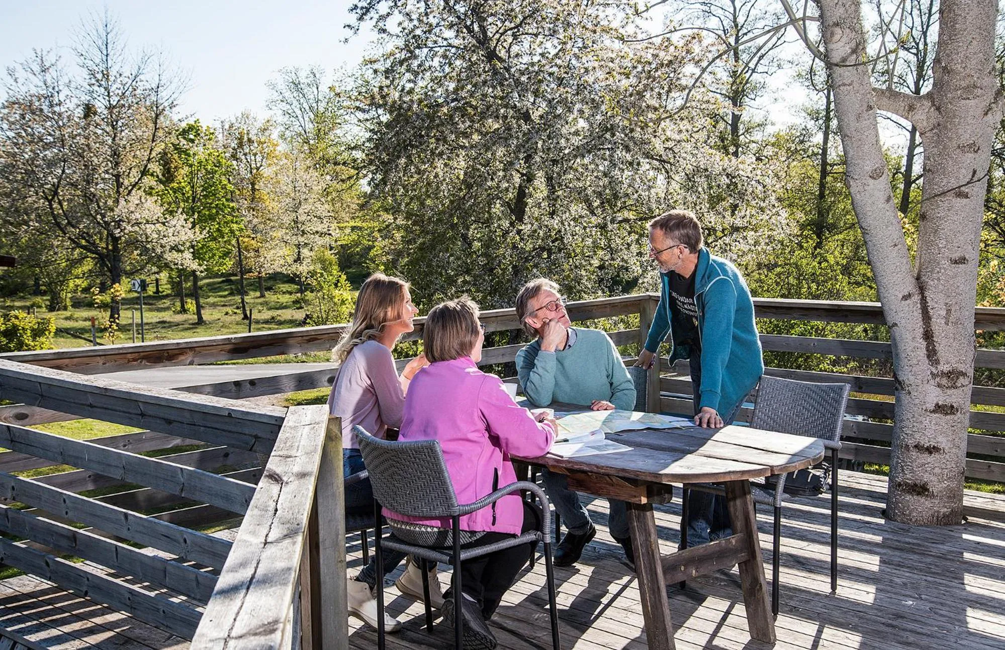 Balcony/Terrace in Lugnåsberget Ekohotell