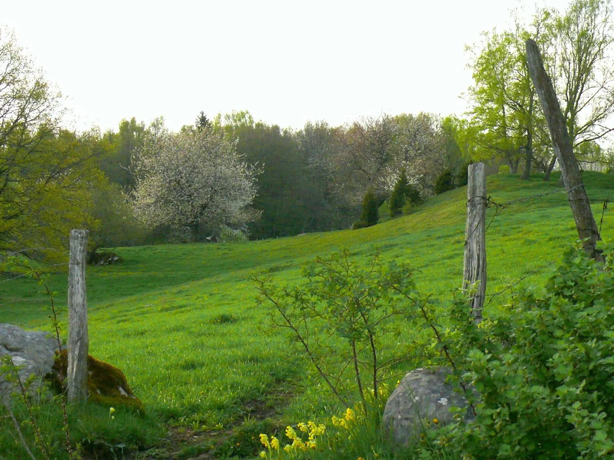 View (from property/room) in Lugnåsberget Ekohotell