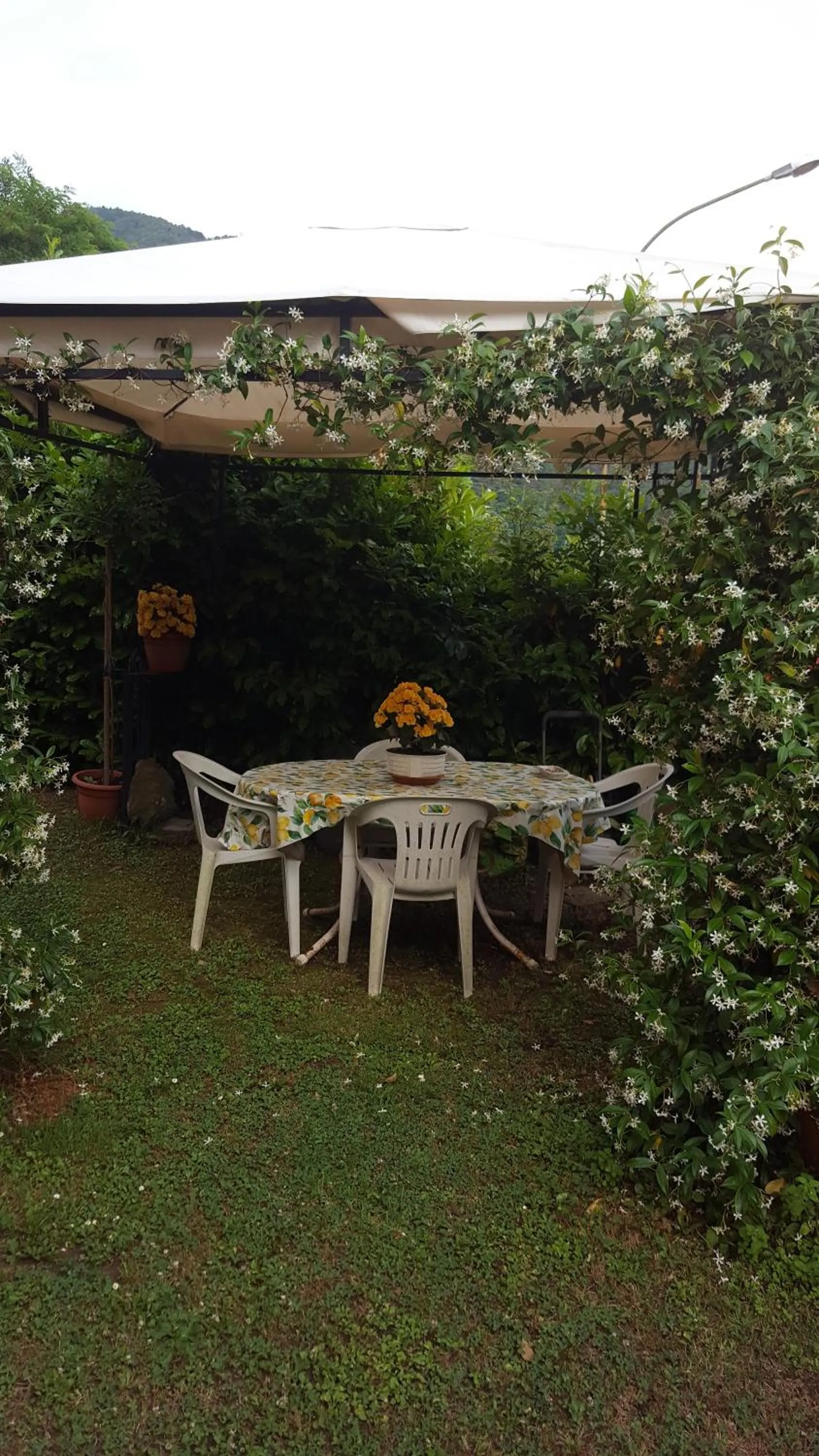 Campomaggio
