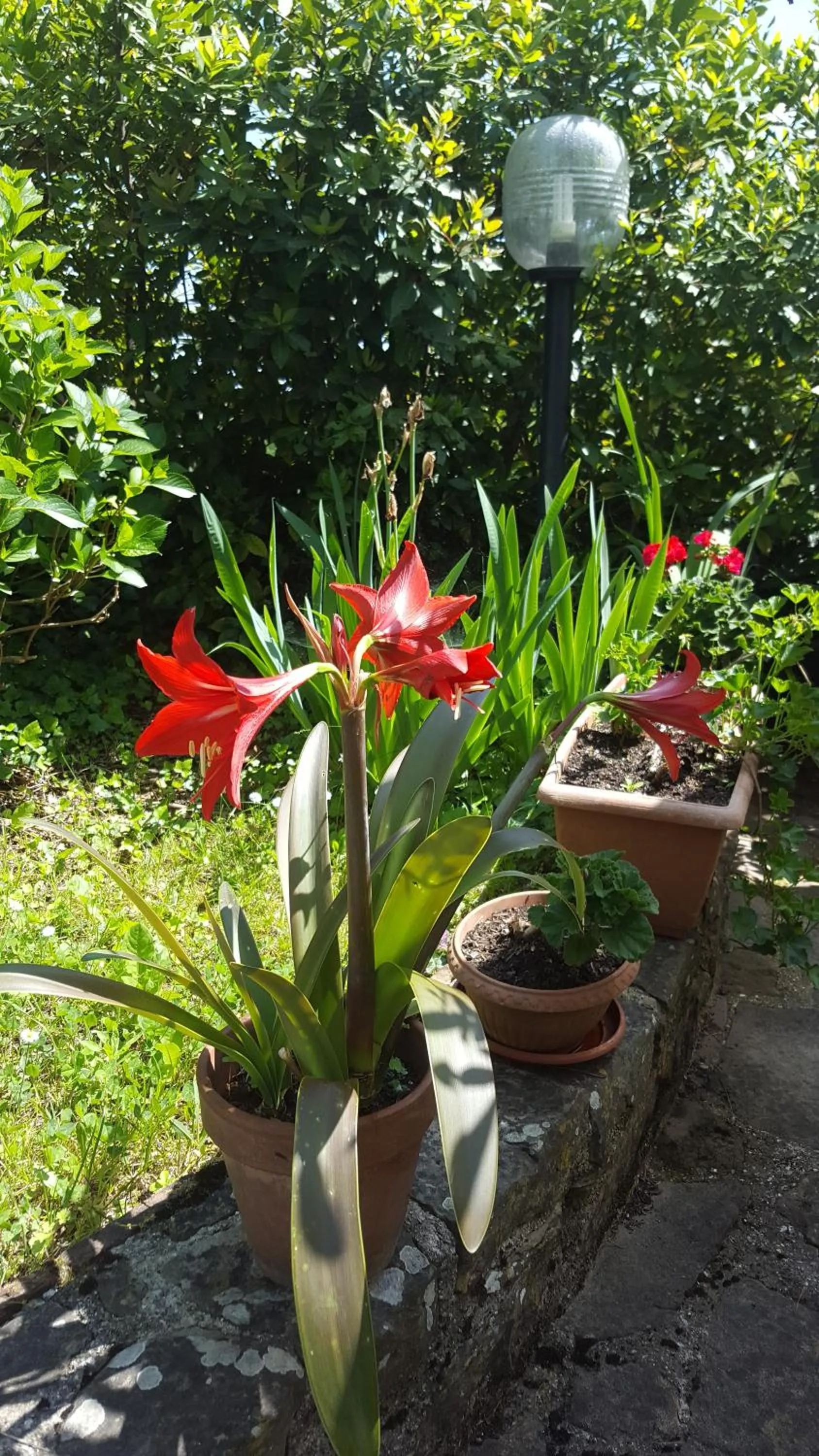 Campomaggio