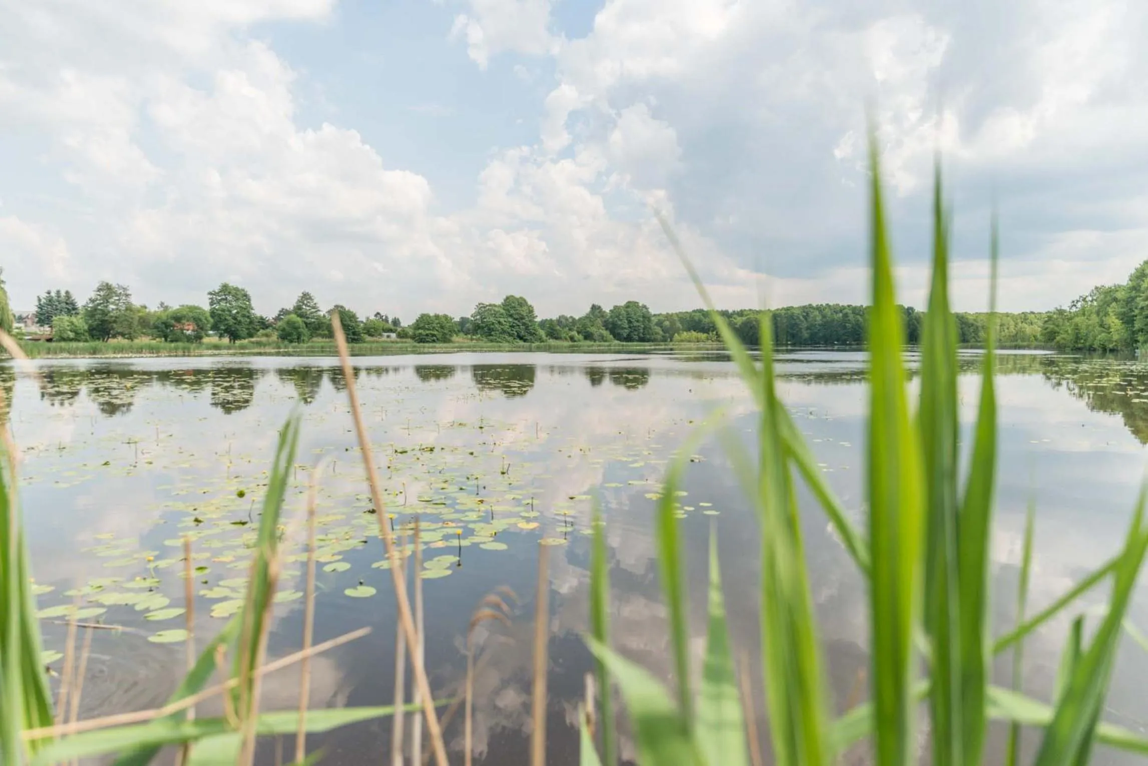 Day in Hotel Markgraf