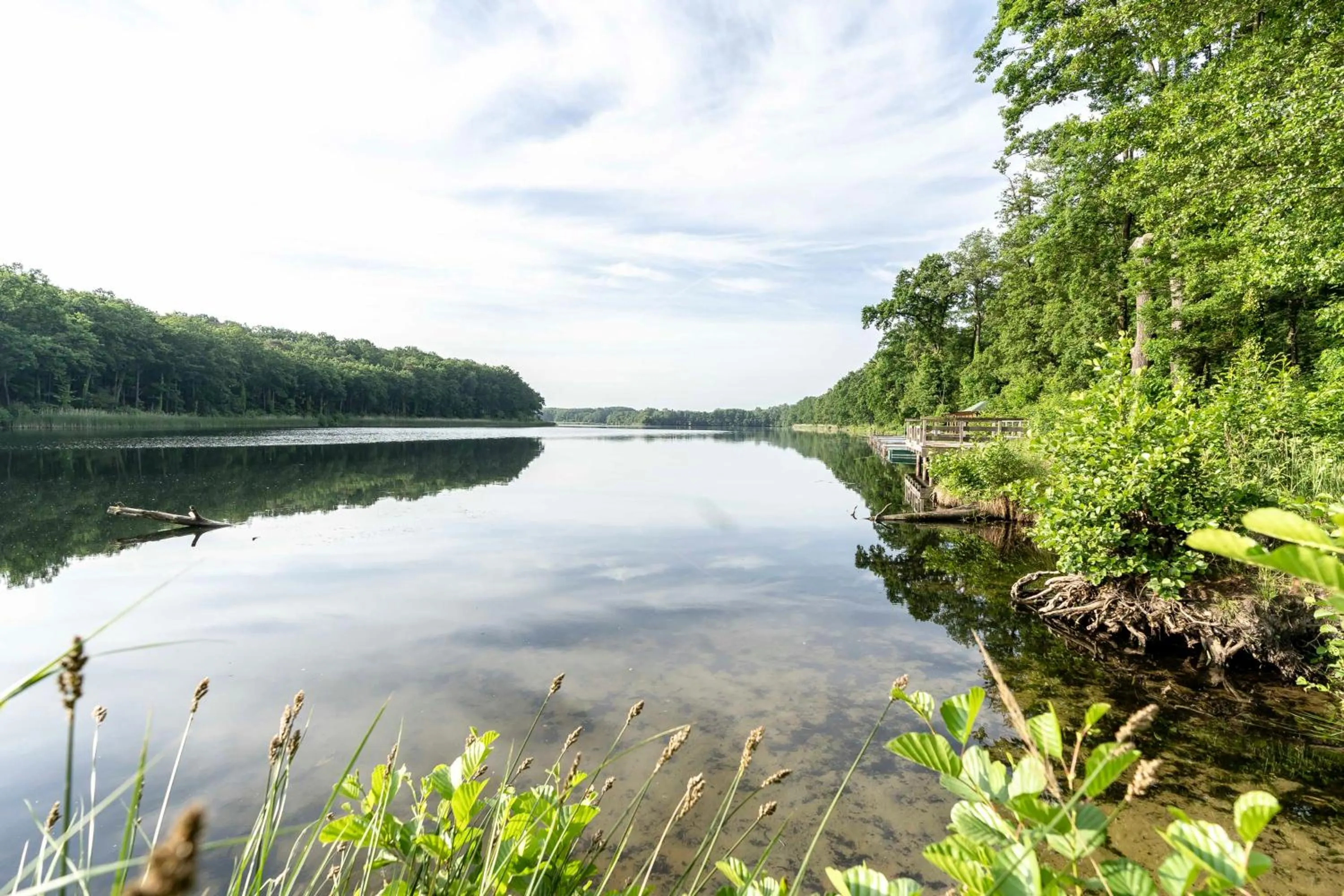 Natural landscape in Hotel Markgraf