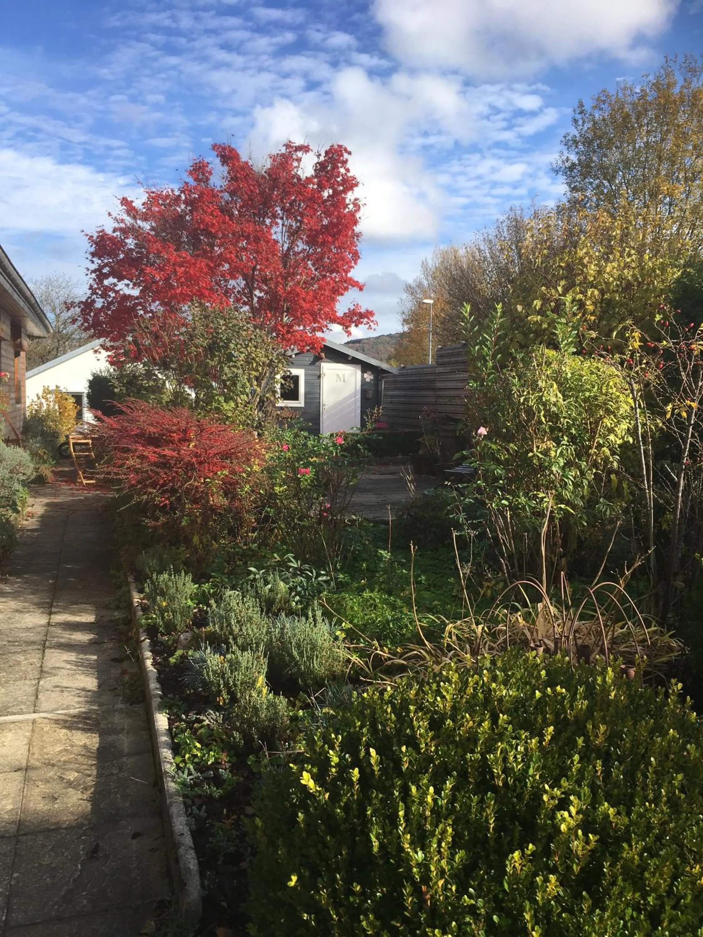 Garden in B&B Les Hauts d'Ornans