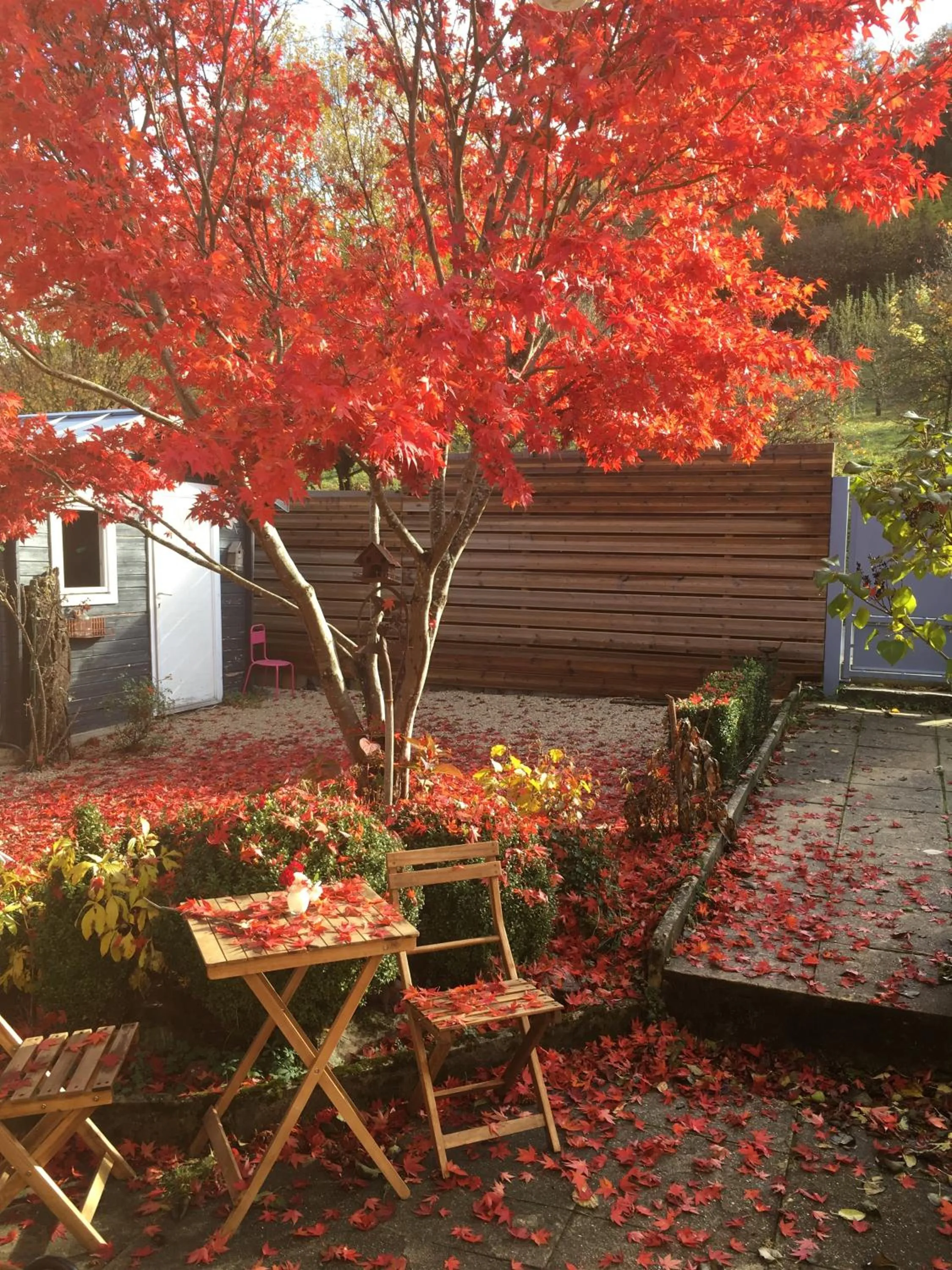 Garden in B&B Les Hauts d'Ornans