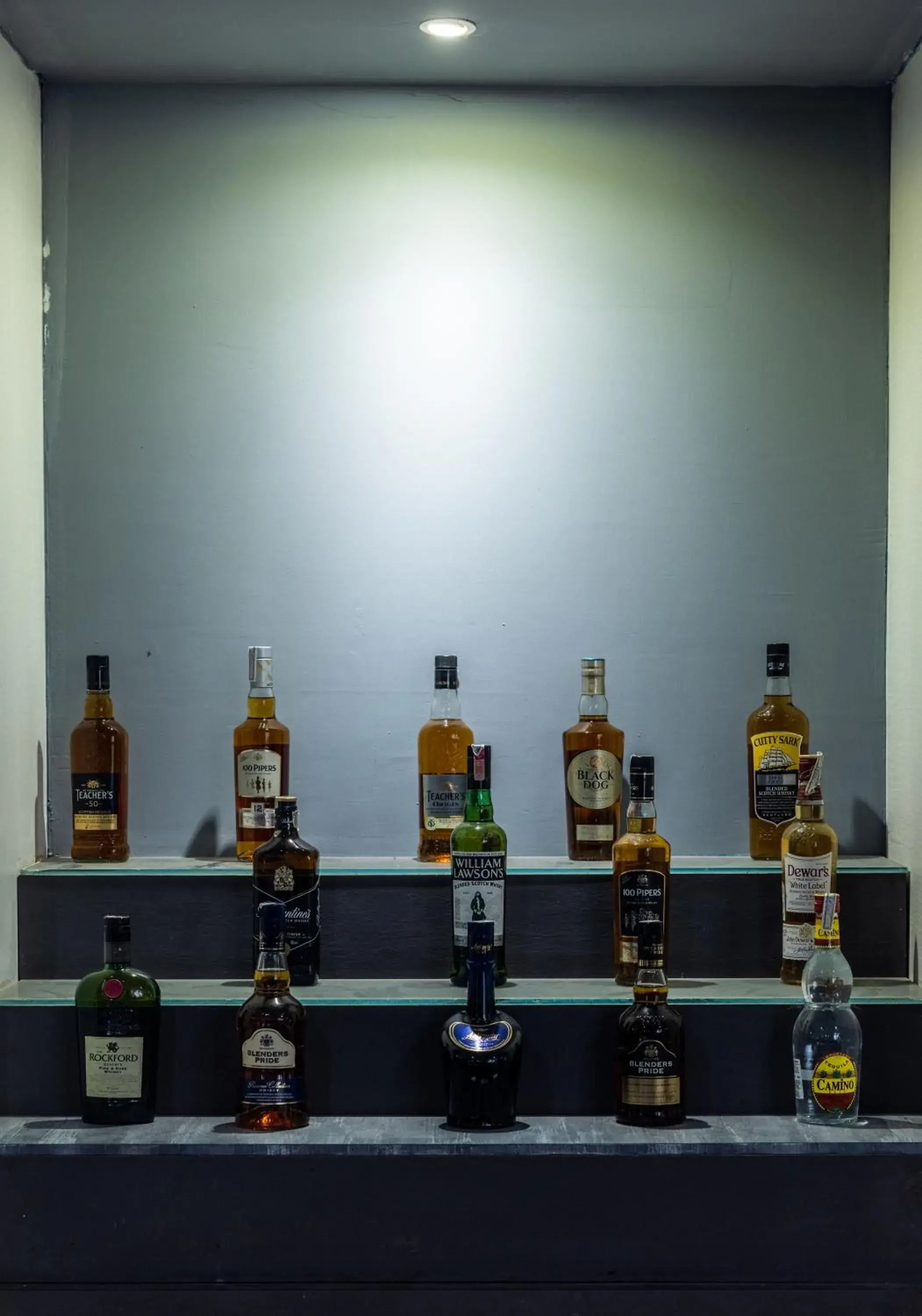 Lounge or bar in Hotel Pal Heights Lounge or bar in Hotel Pal Heights