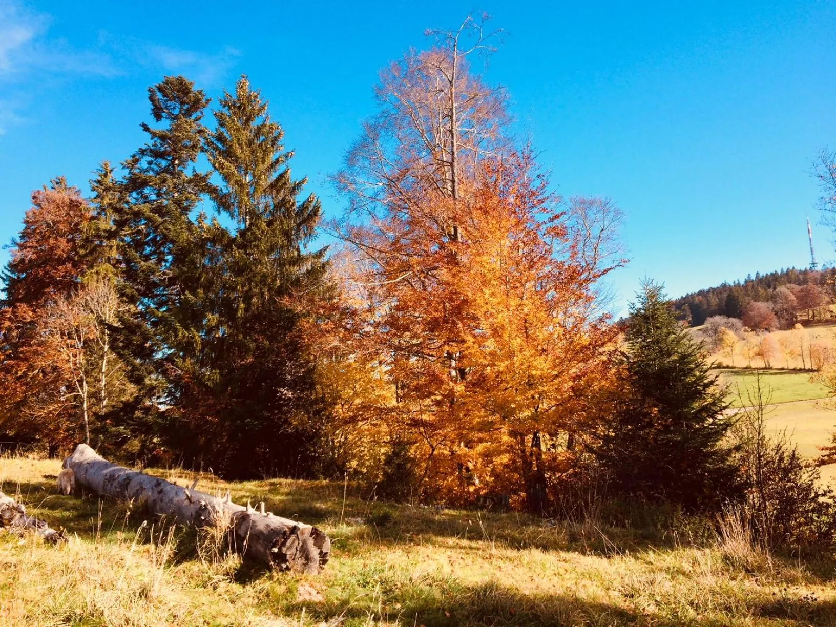 Autumn in La Ferme des Arêtes