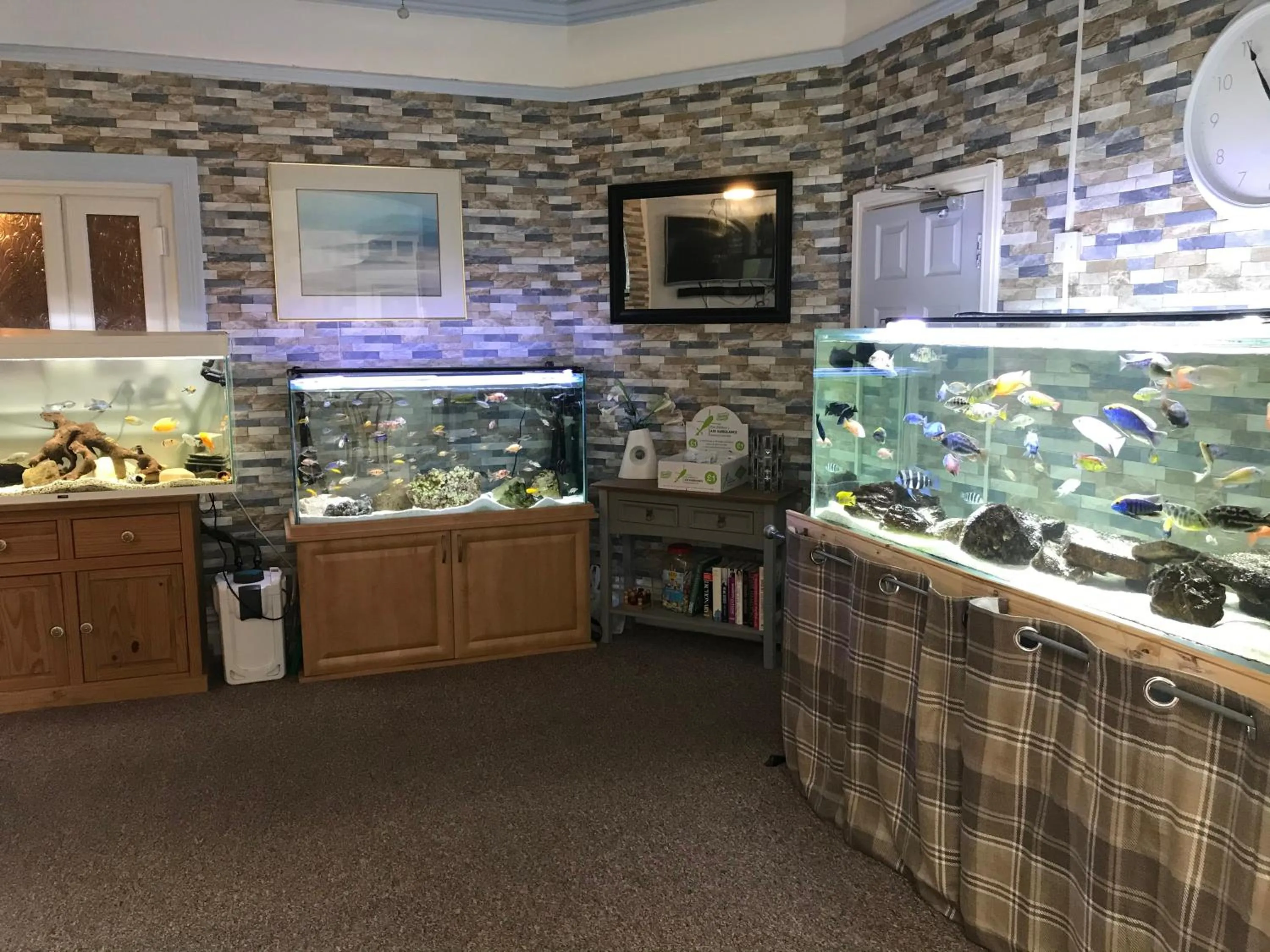 Communal lounge/ TV room in The Craigside