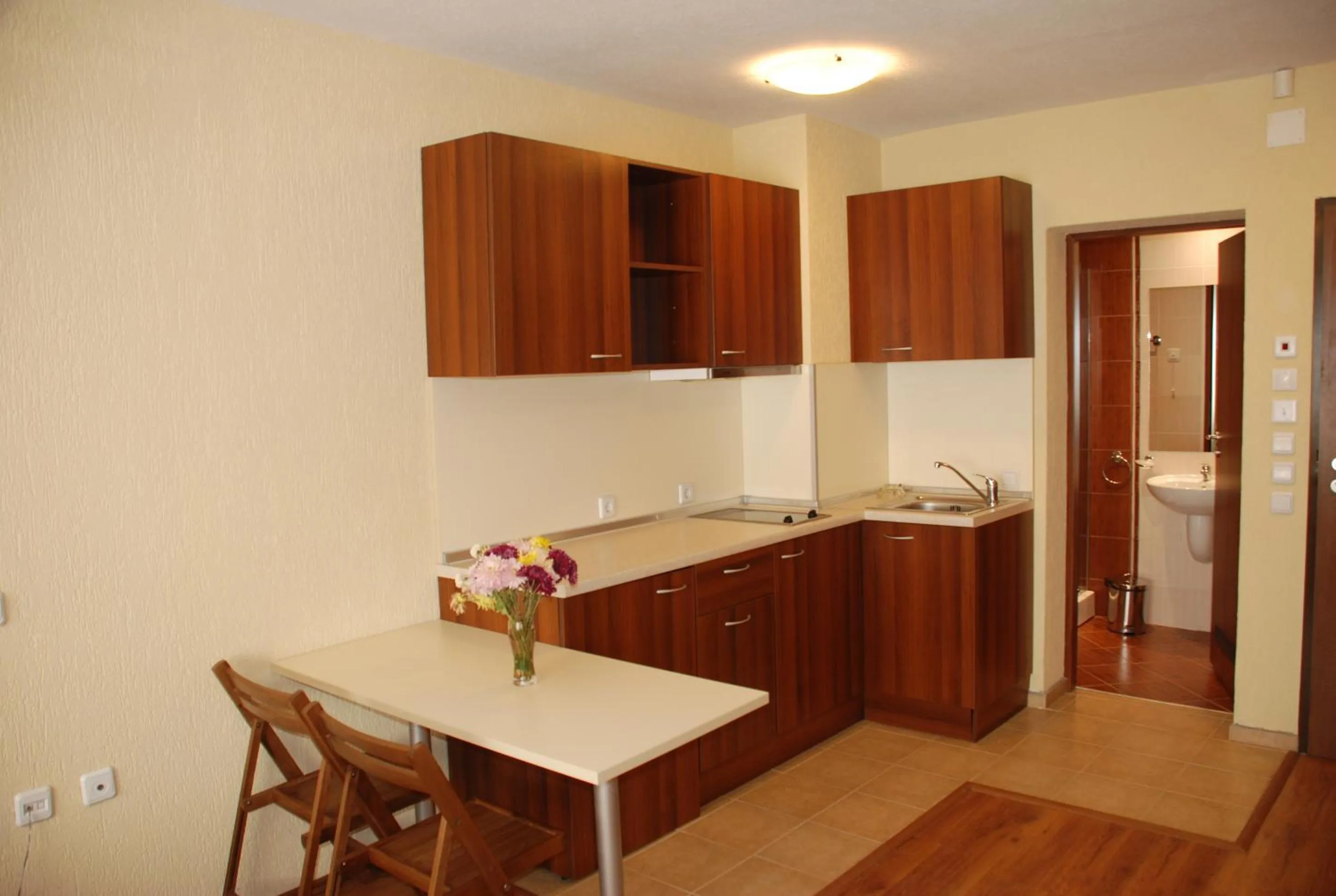 Kitchen or kitchenette in Apart Hotel Comfort