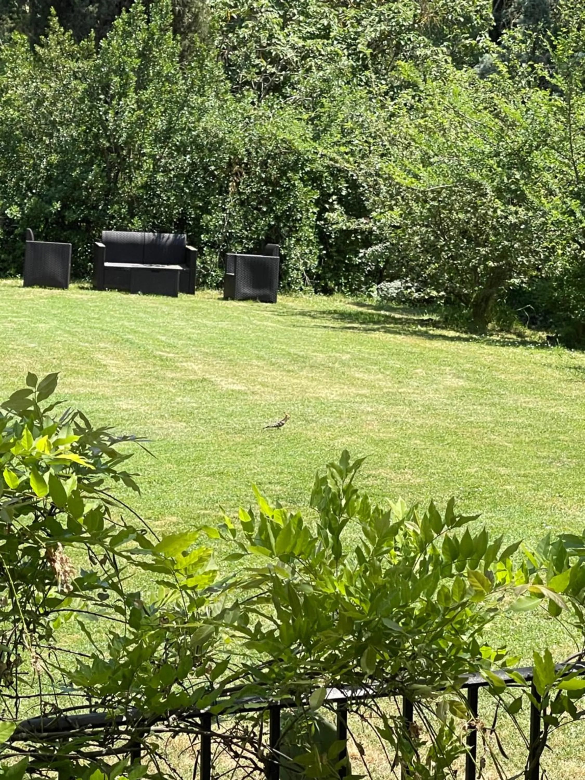 Garden in Al Giardino Degli Etruschi