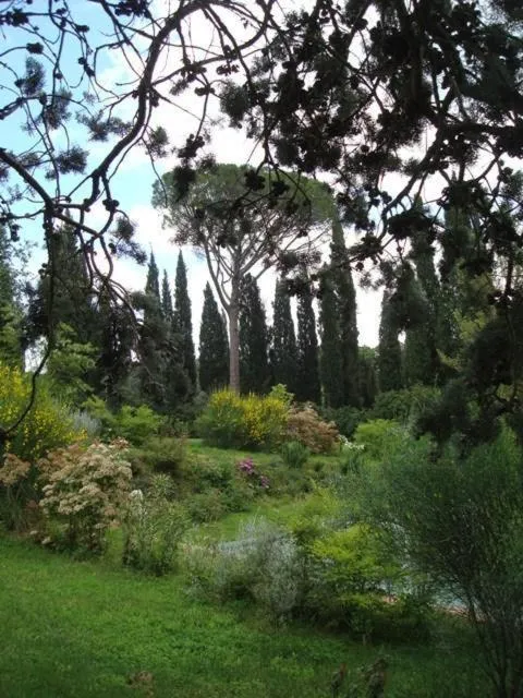 Garden in Al Giardino Degli Etruschi