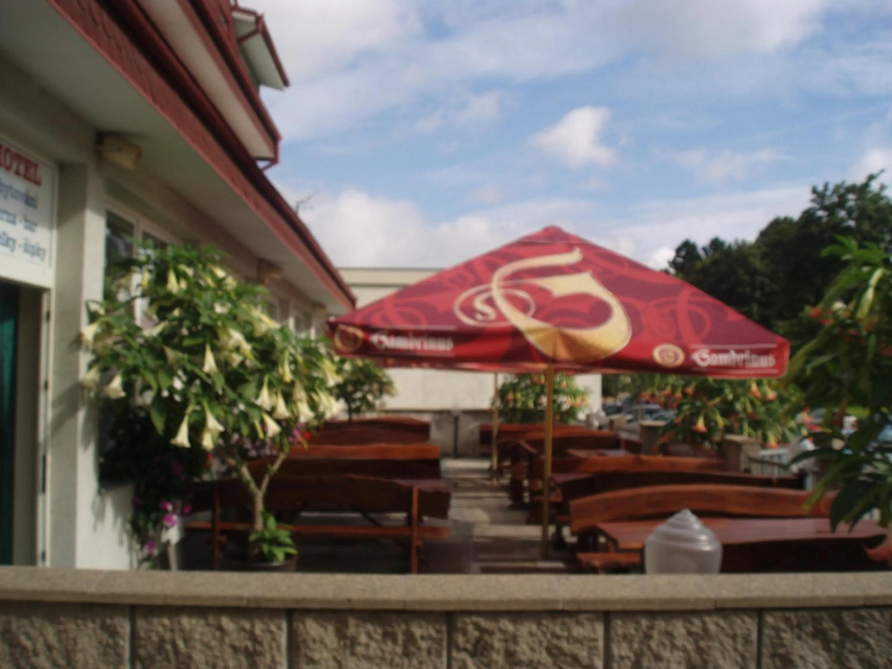 Balcony/Terrace in Hotel Alf