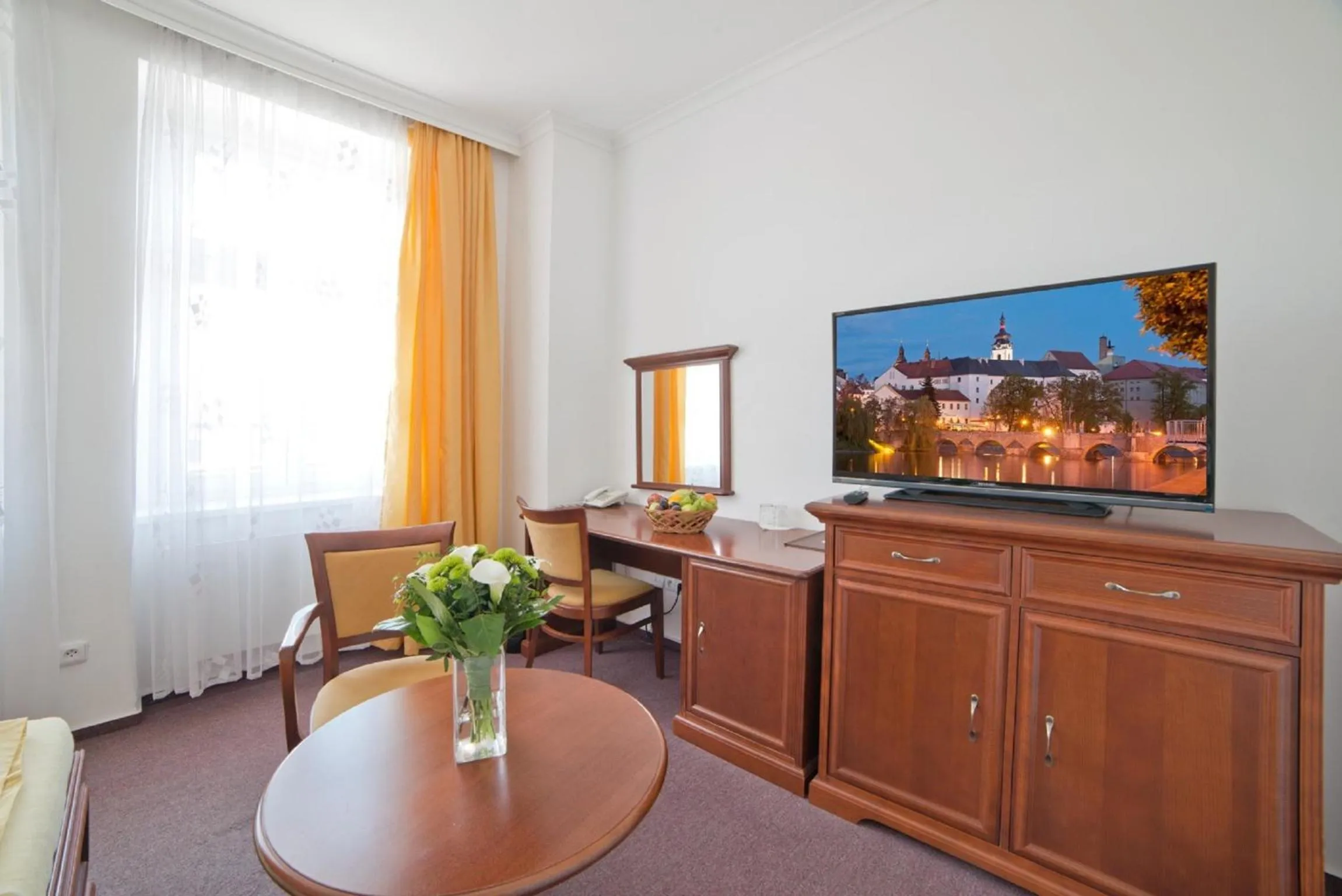TV and multimedia in Hotel U Kaplicky