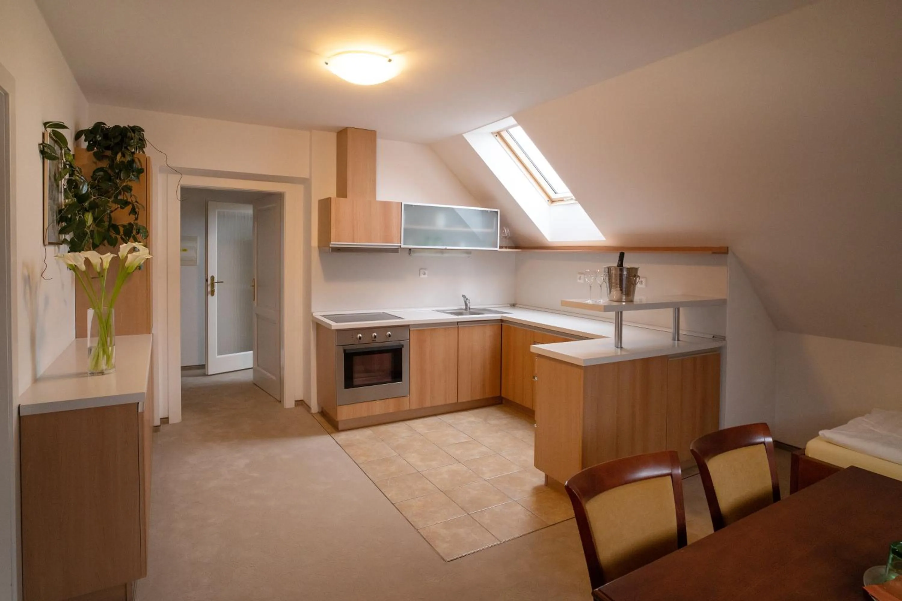 Kitchen or kitchenette in Hotel U Kaplicky