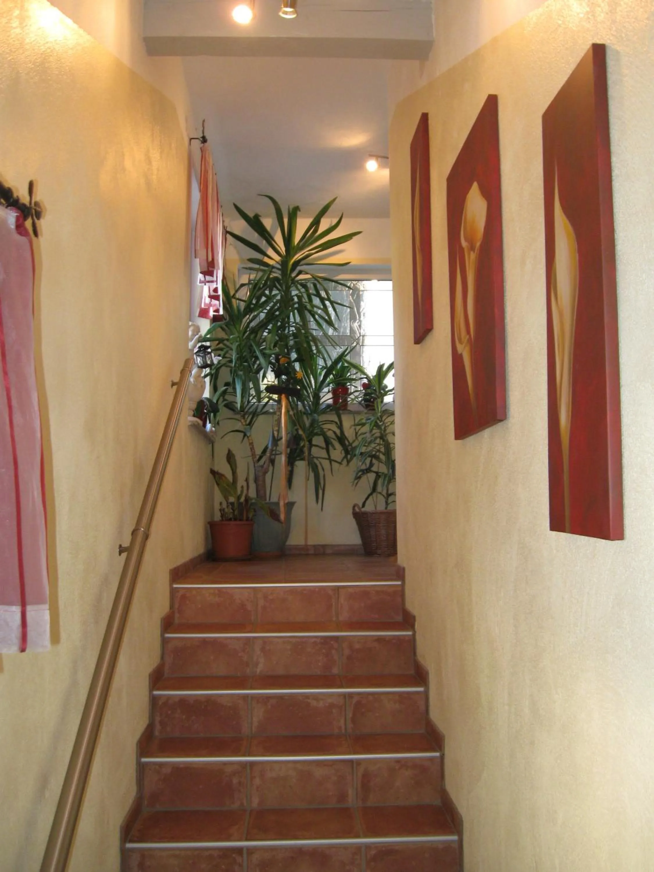 Area and facilities in Appartements Schusser