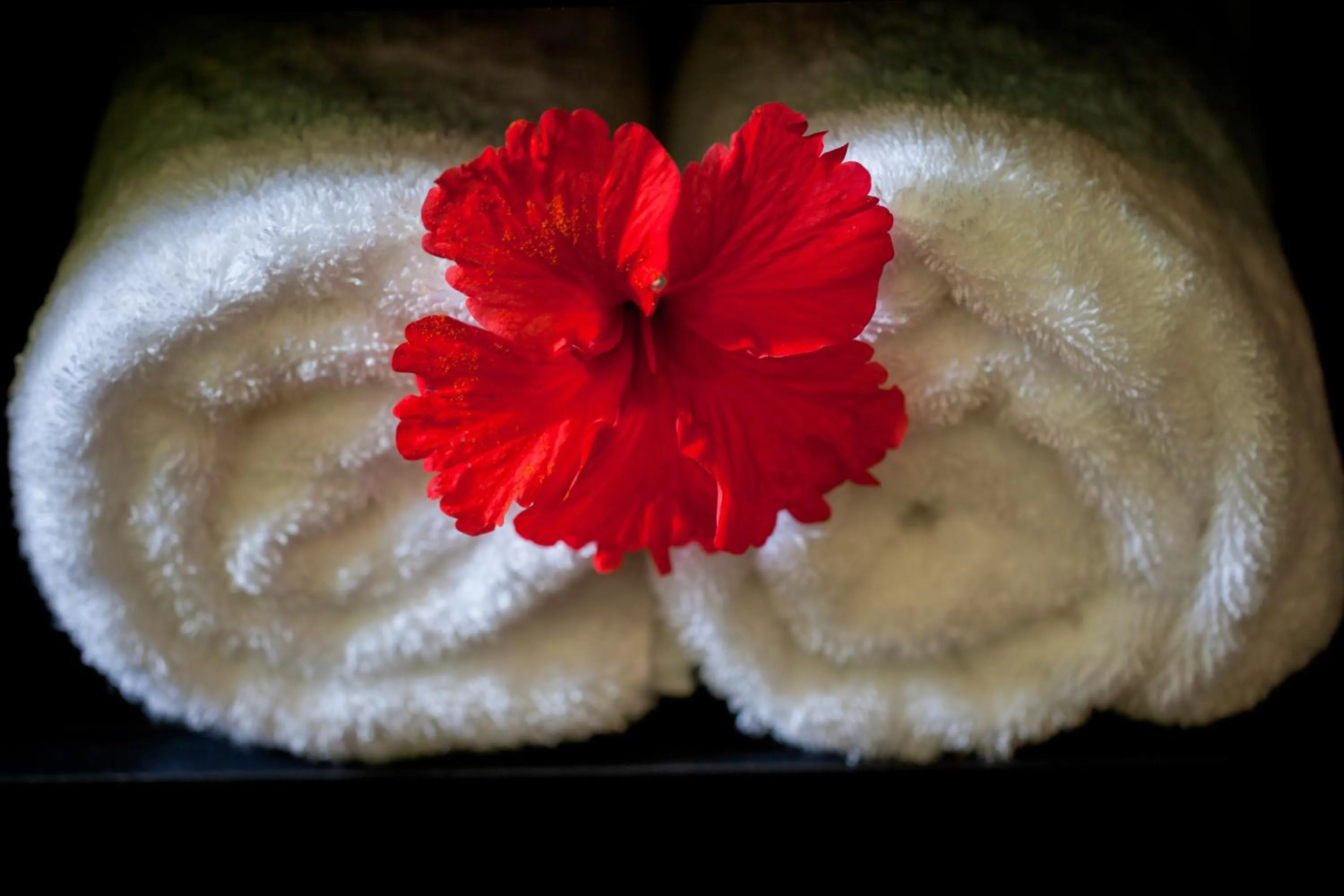 Other in Dhevatara Beach Hotel