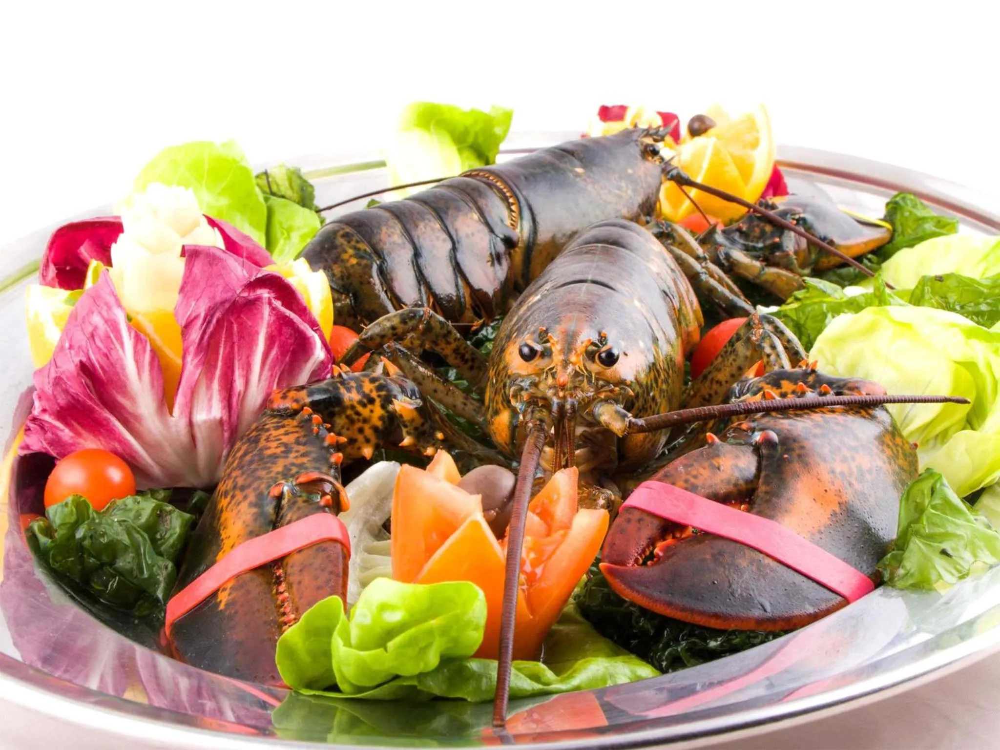 Food close-up in La Vigna Hotel