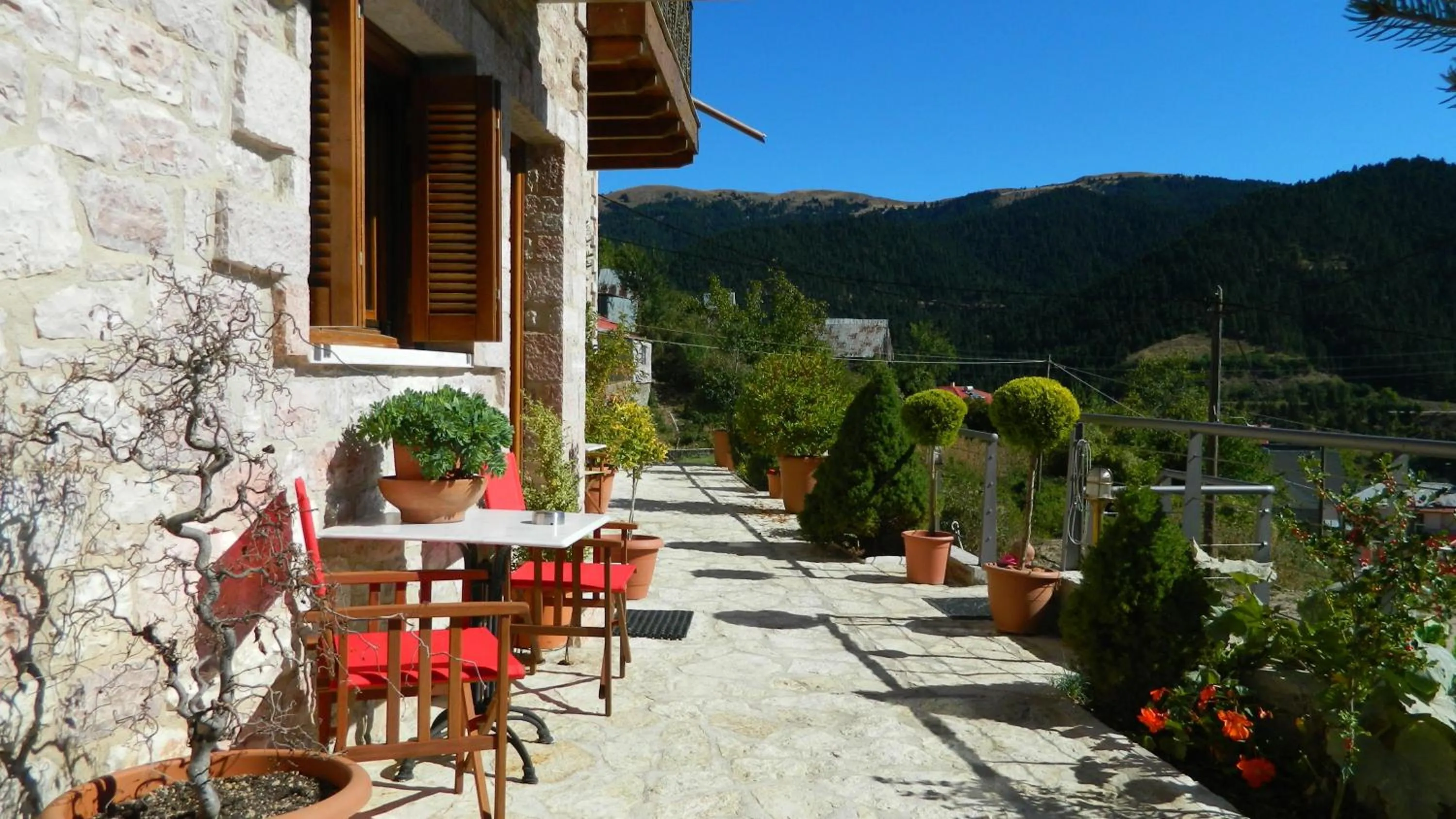 Standard One-Bedroom Apartment (2 Adults) in Petrino Rodo