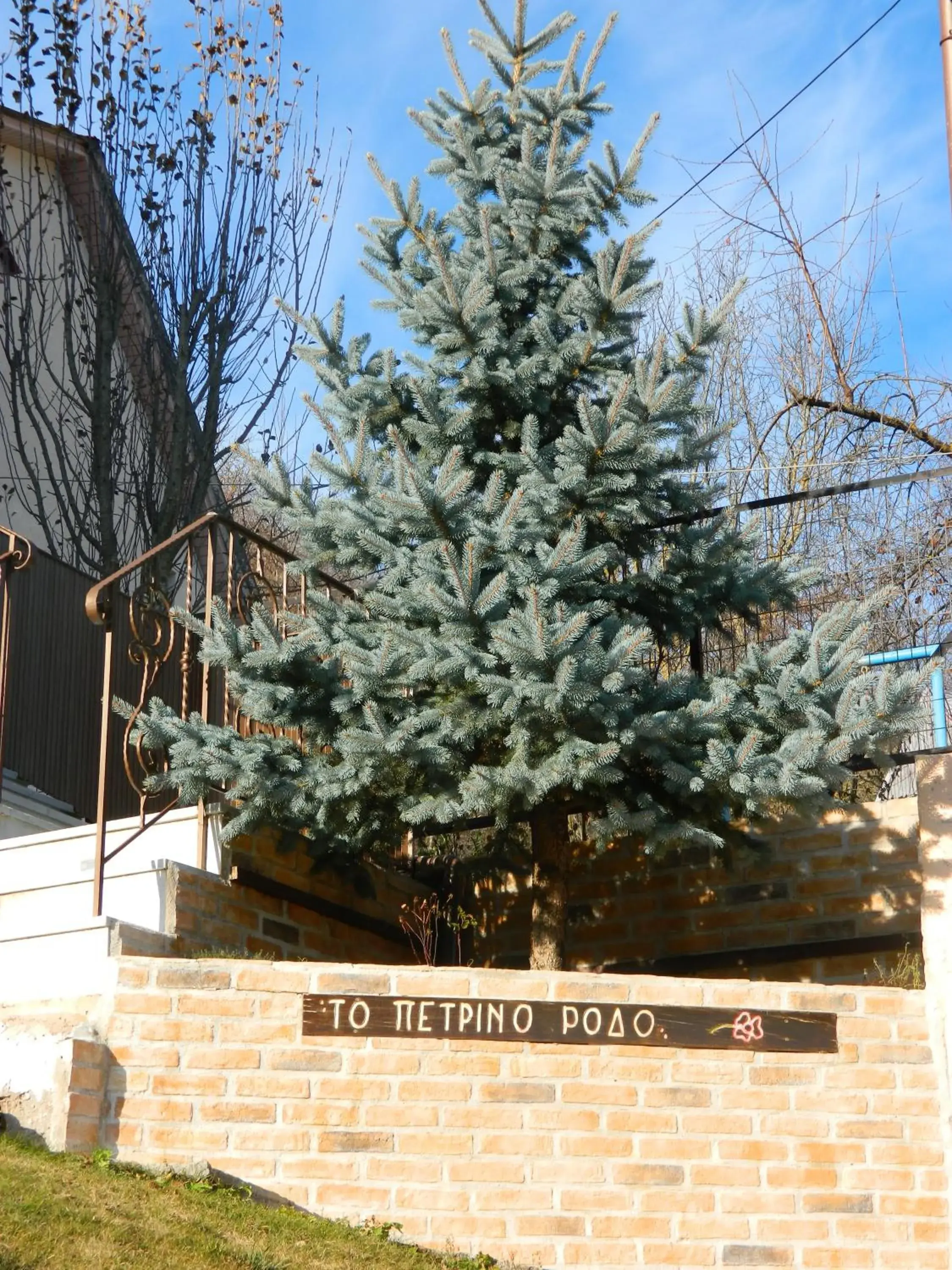 Superior One-Bedroom Apartment (2 Adults) in Petrino Rodo Superior One-Bedroom Apartment (2 Adults) in Petrino Rodo