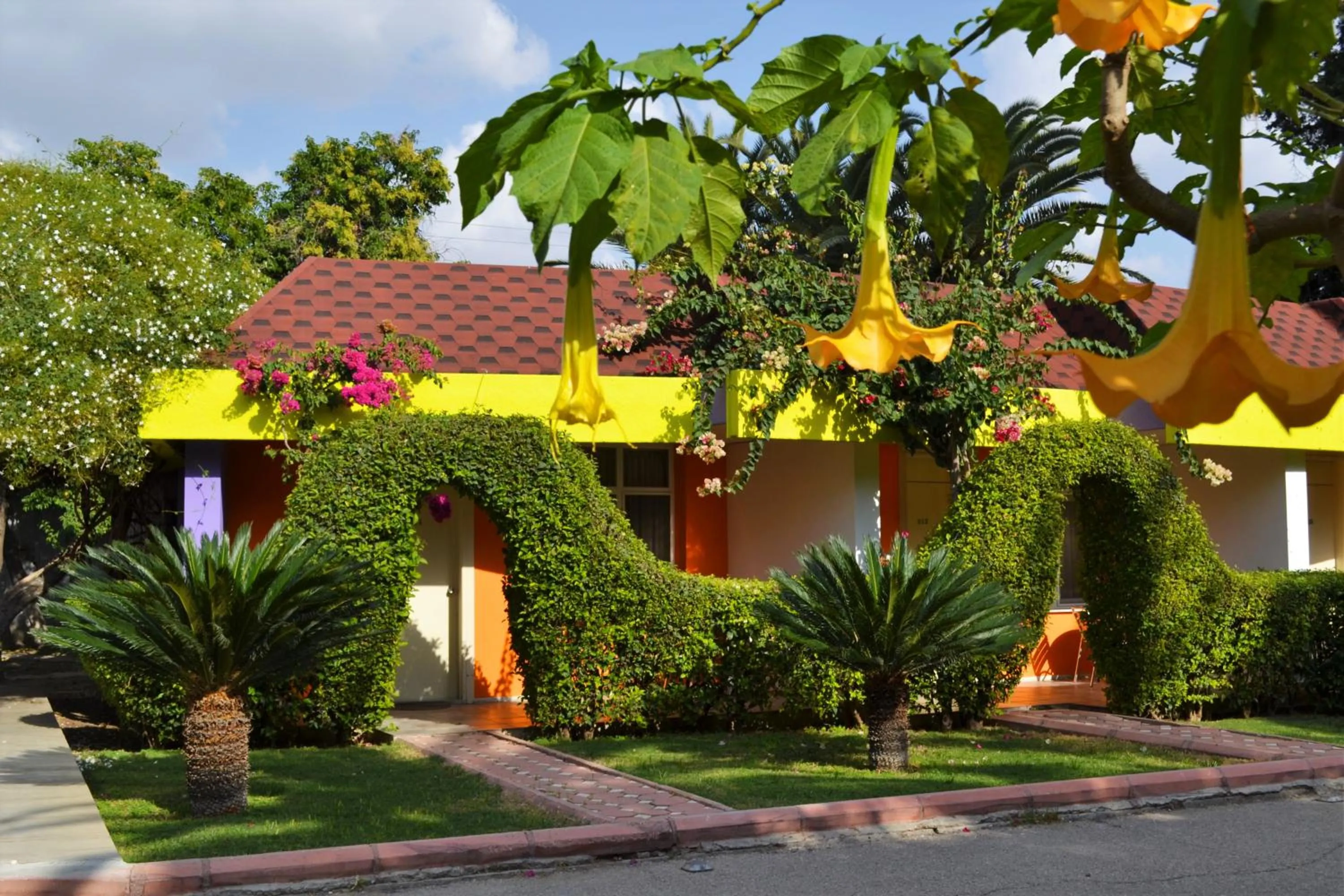 Property building in Çetinel Otel