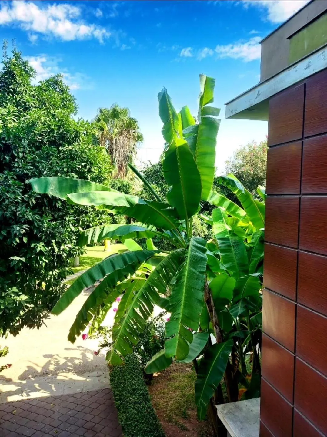 Garden in Çetinel Otel