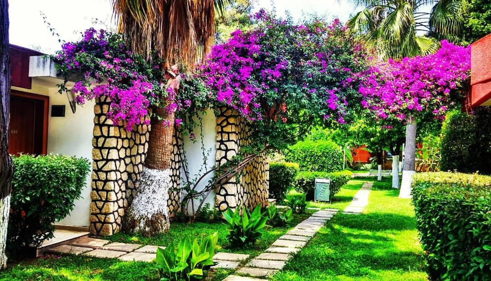 Garden in Çetinel Otel