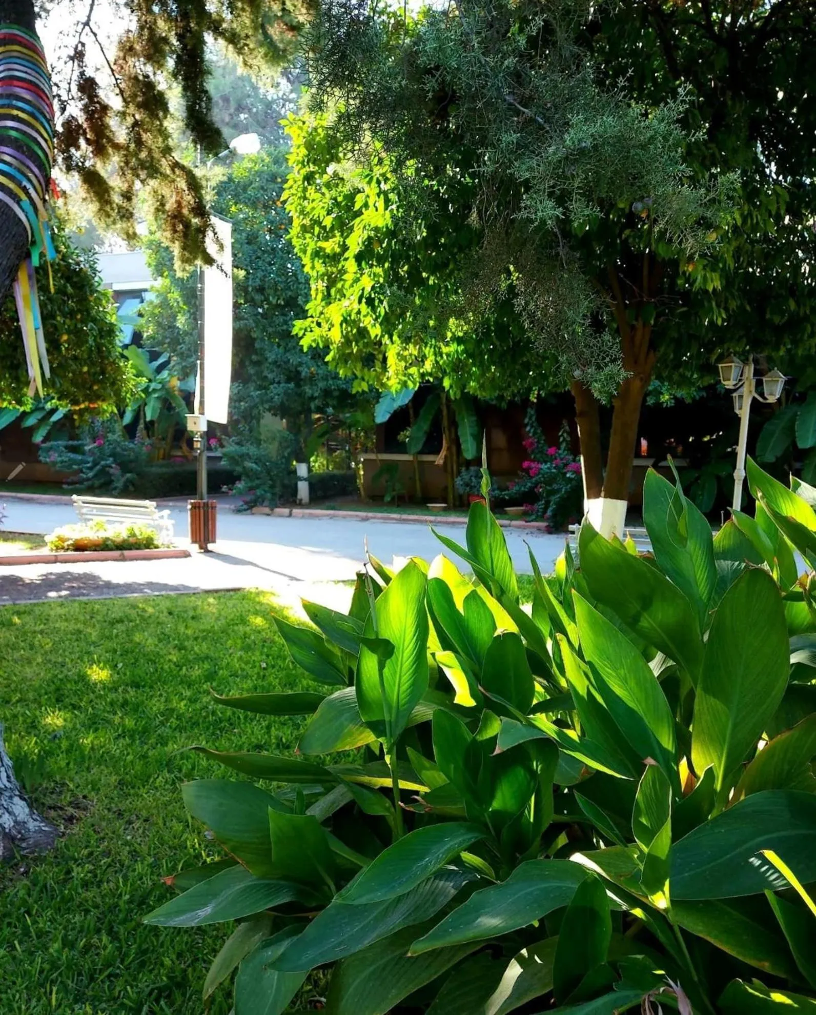 Natural landscape in Çetinel Otel
