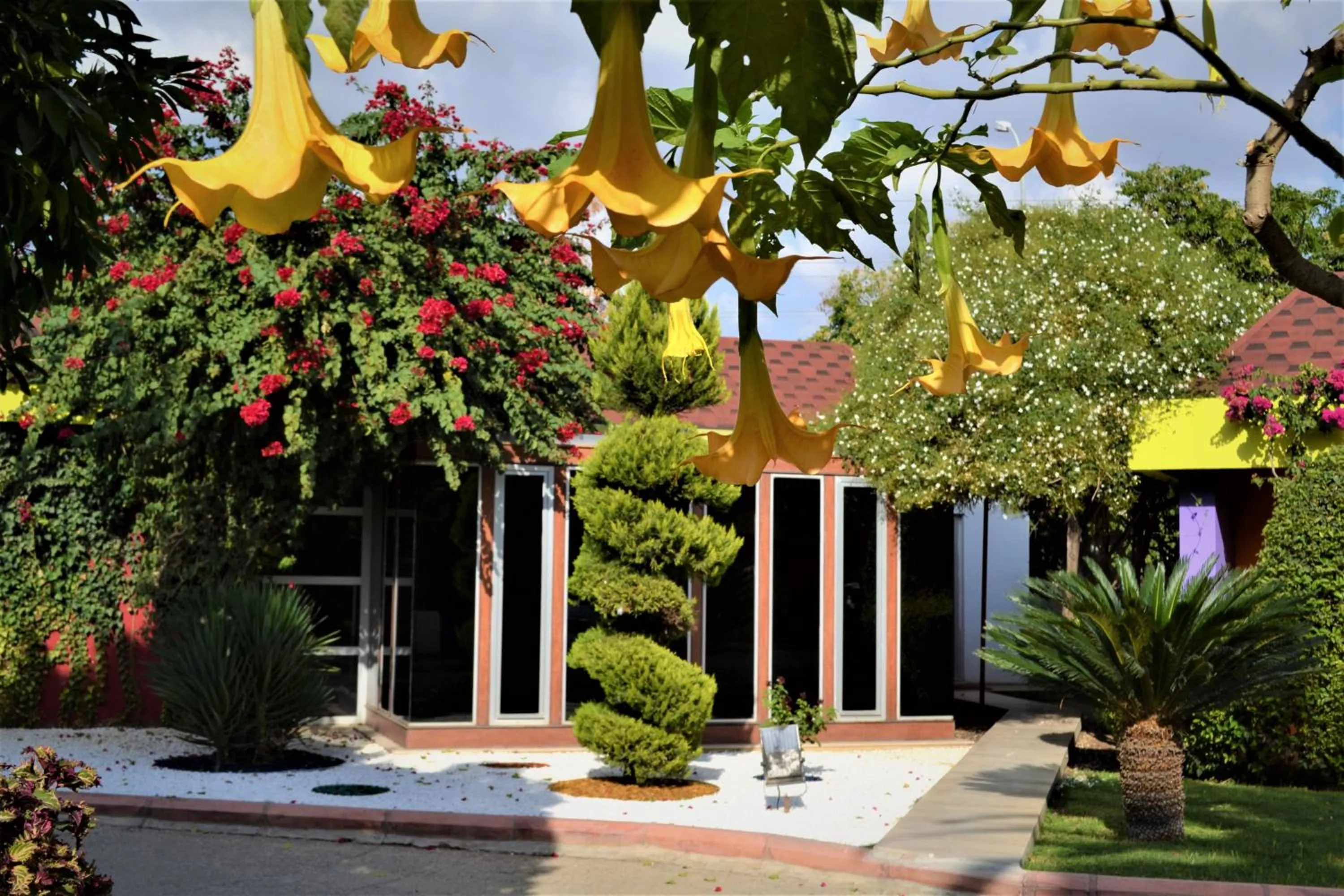 Day in Çetinel Otel