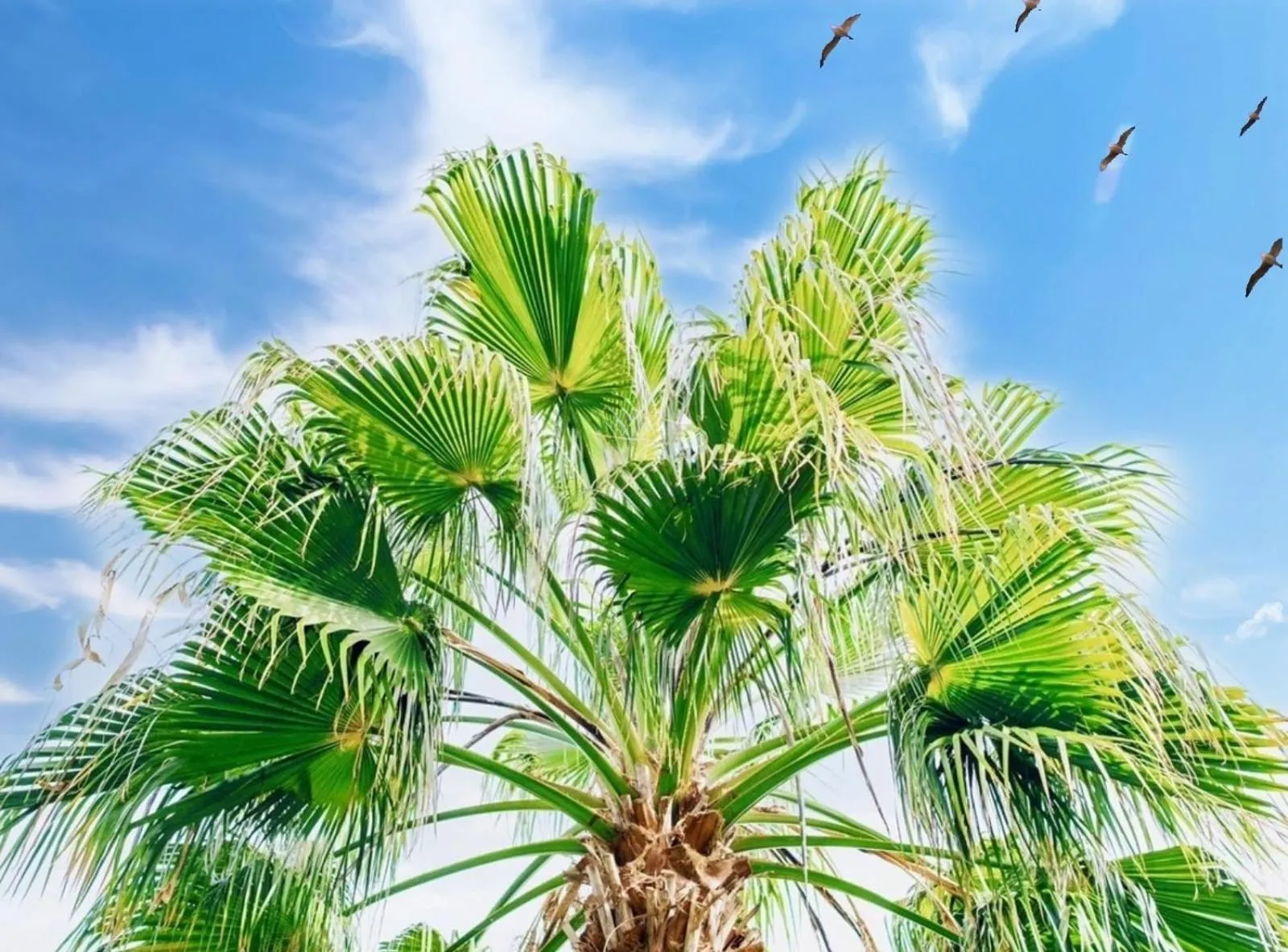 Natural landscape in Çetinel Otel