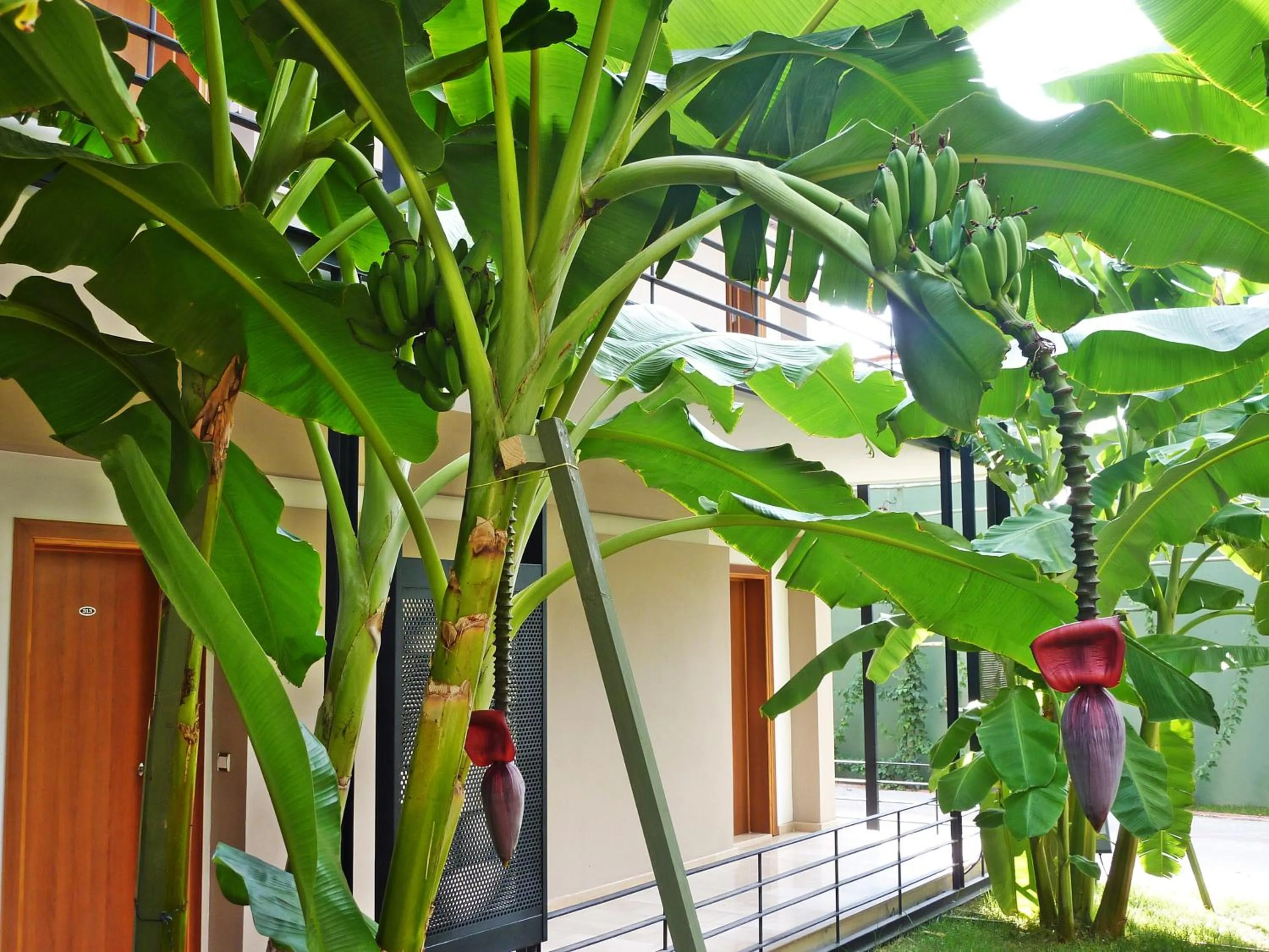 Garden in Çetinel Otel
