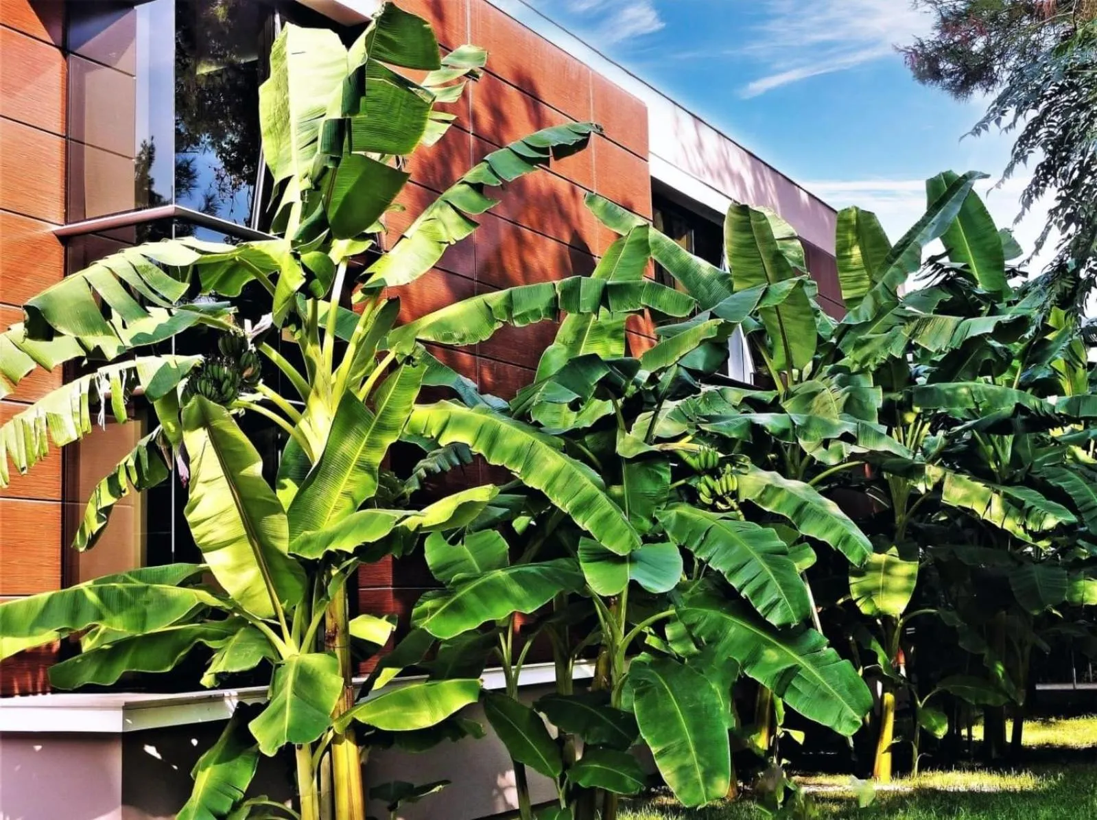 Property building in Çetinel Otel