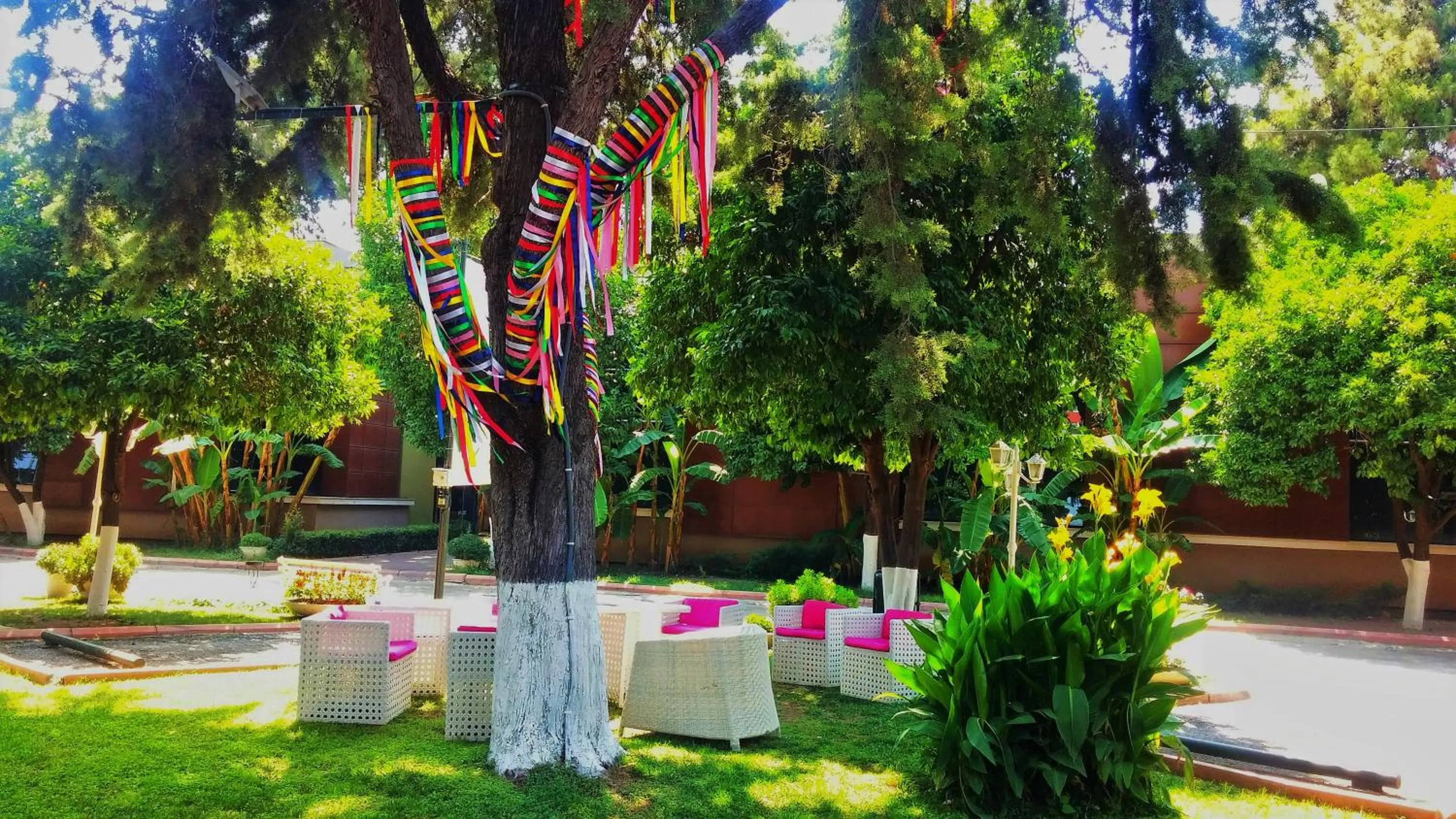 Garden in Çetinel Otel