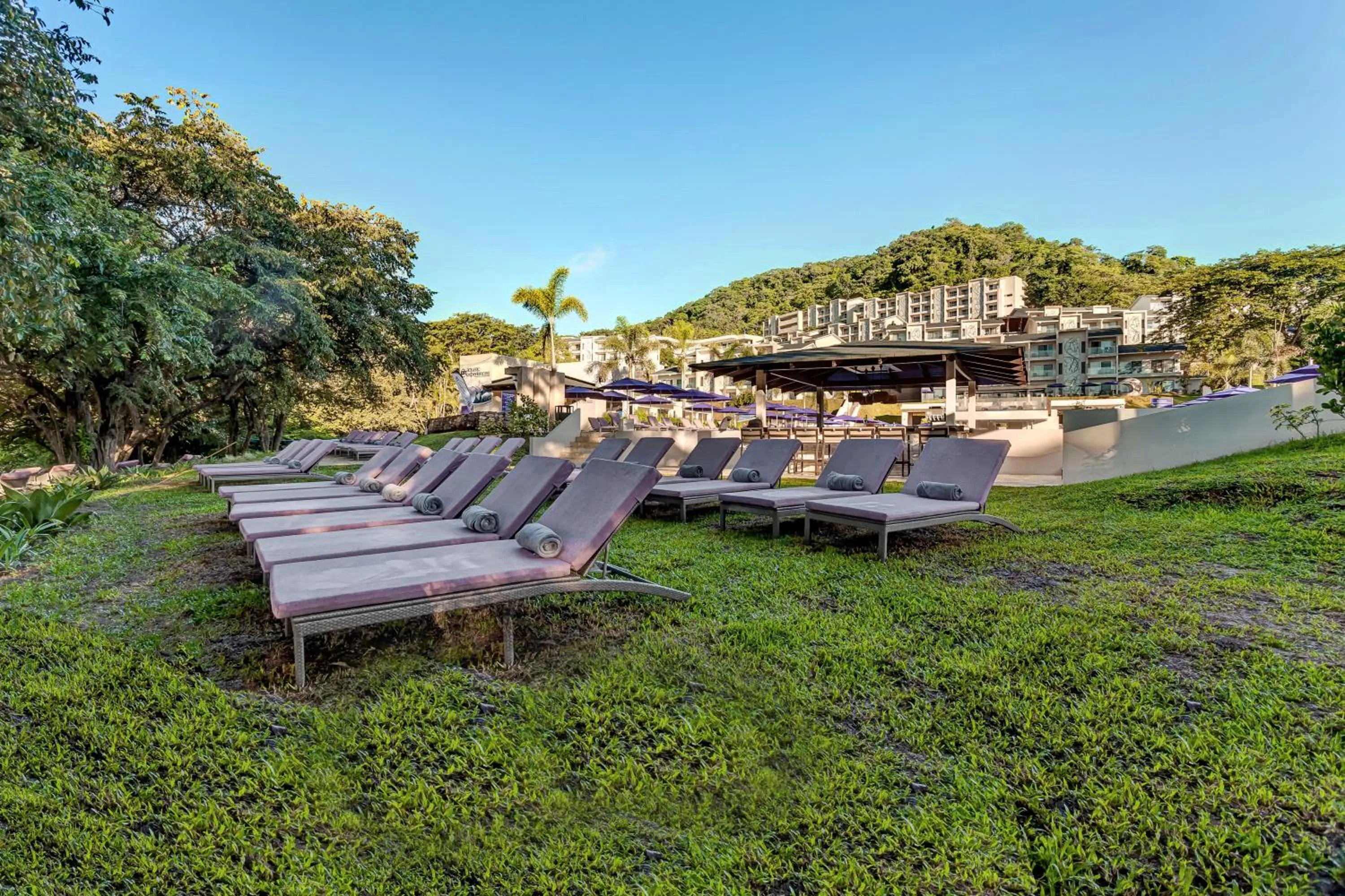 Garden in Planet Hollywood Costa Rica by Royalton, An Autograph Collection All-Inclusive Resort