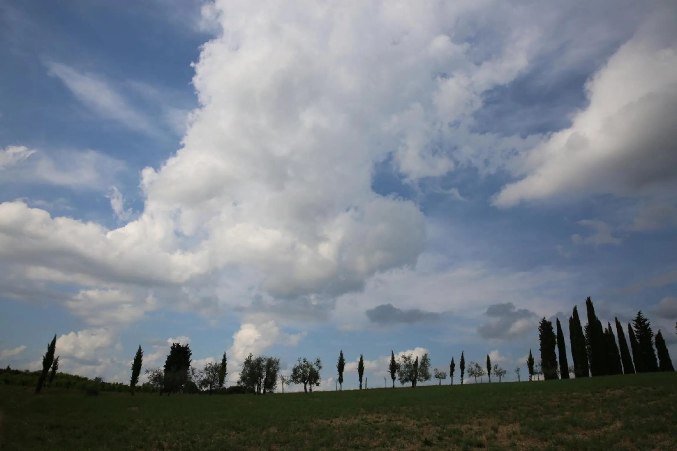 Natural landscape in Villa Francesca
