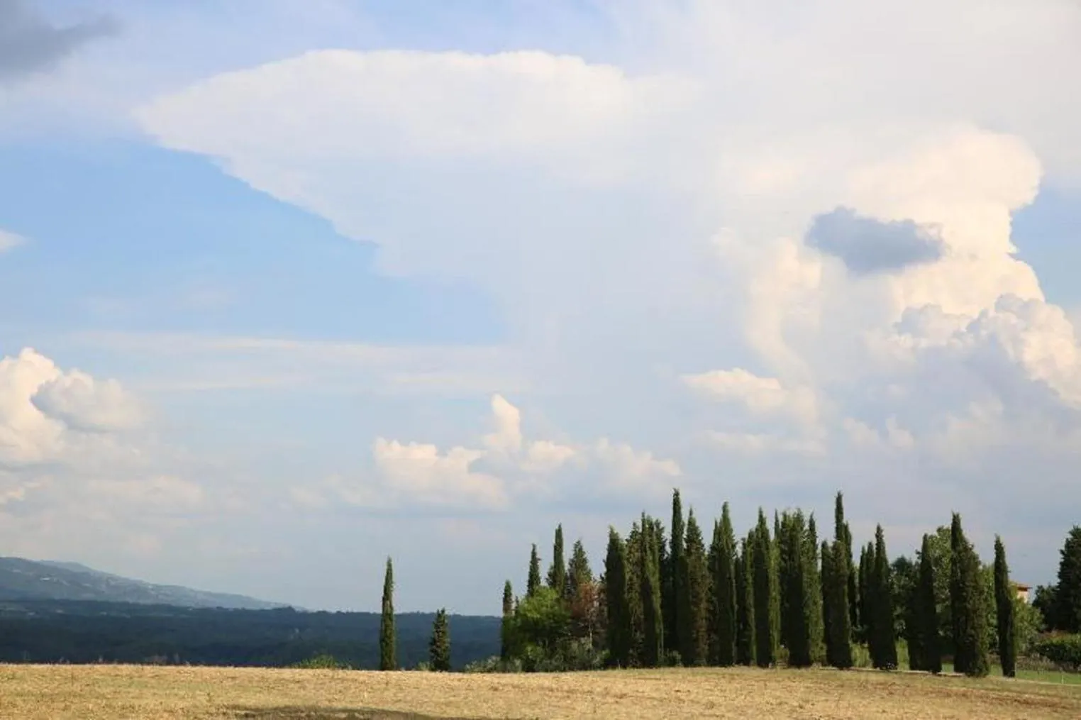 Natural landscape in Villa Francesca