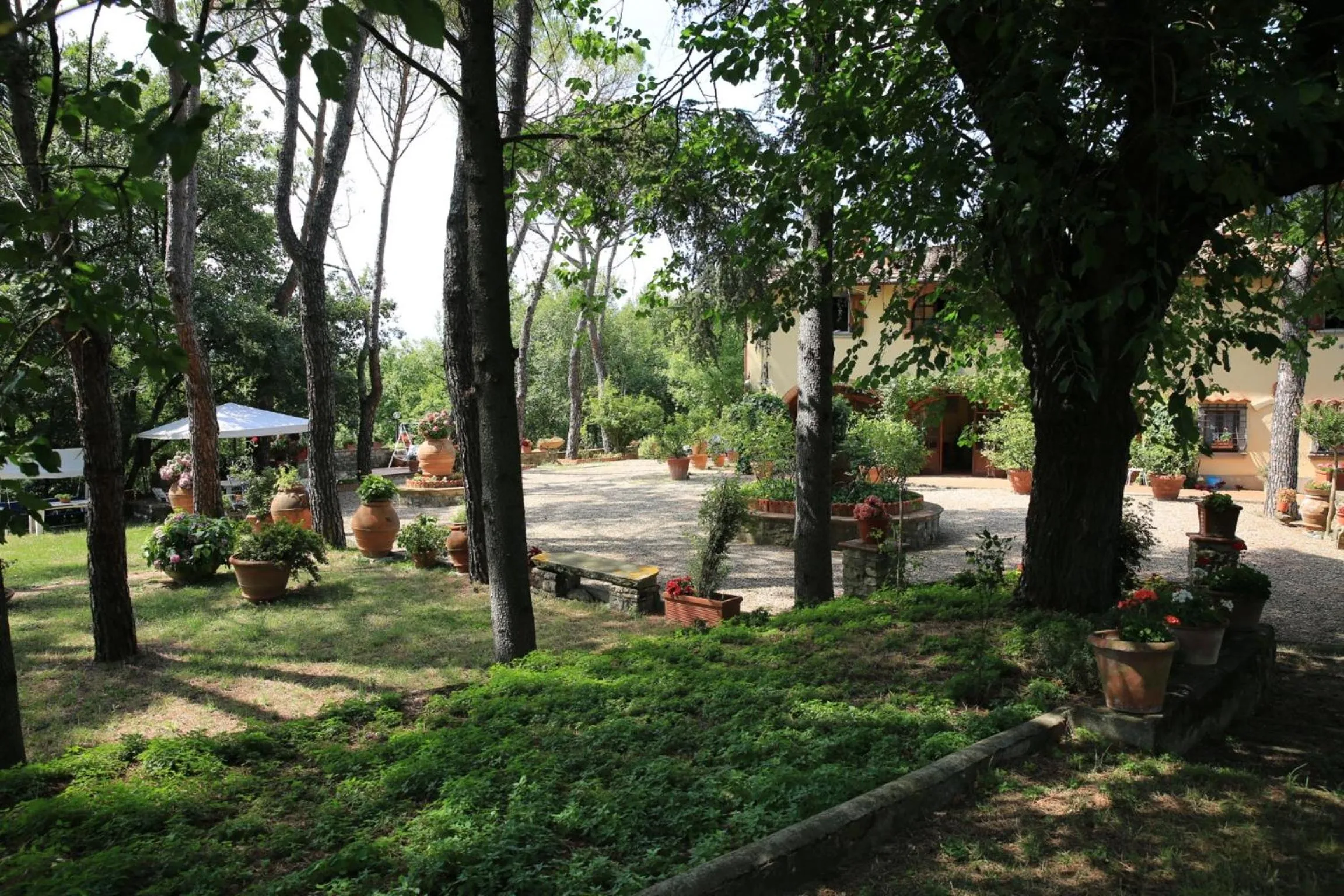 Garden in Villa Francesca