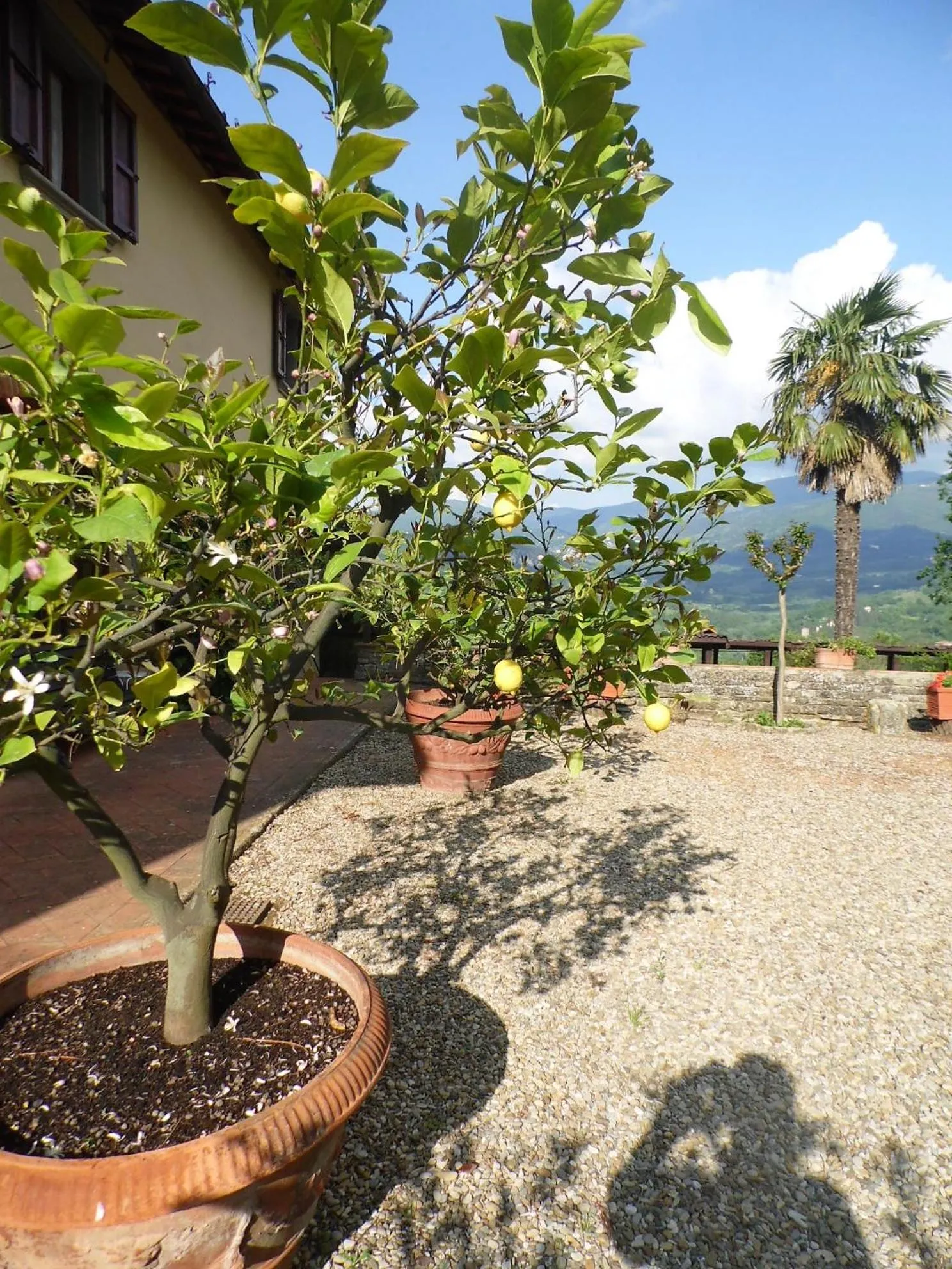 Garden in Villa Francesca