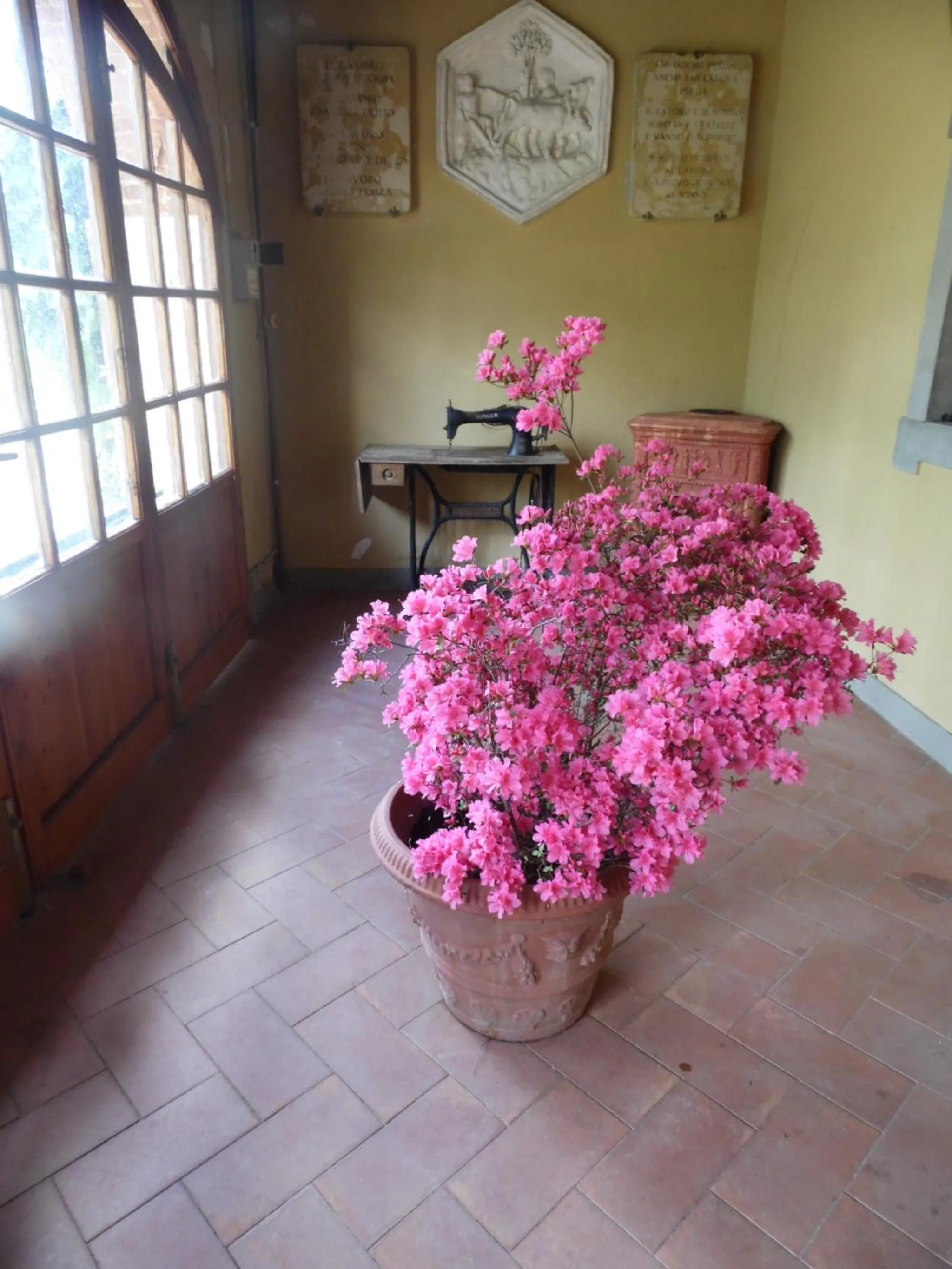 Spring in Villa Francesca