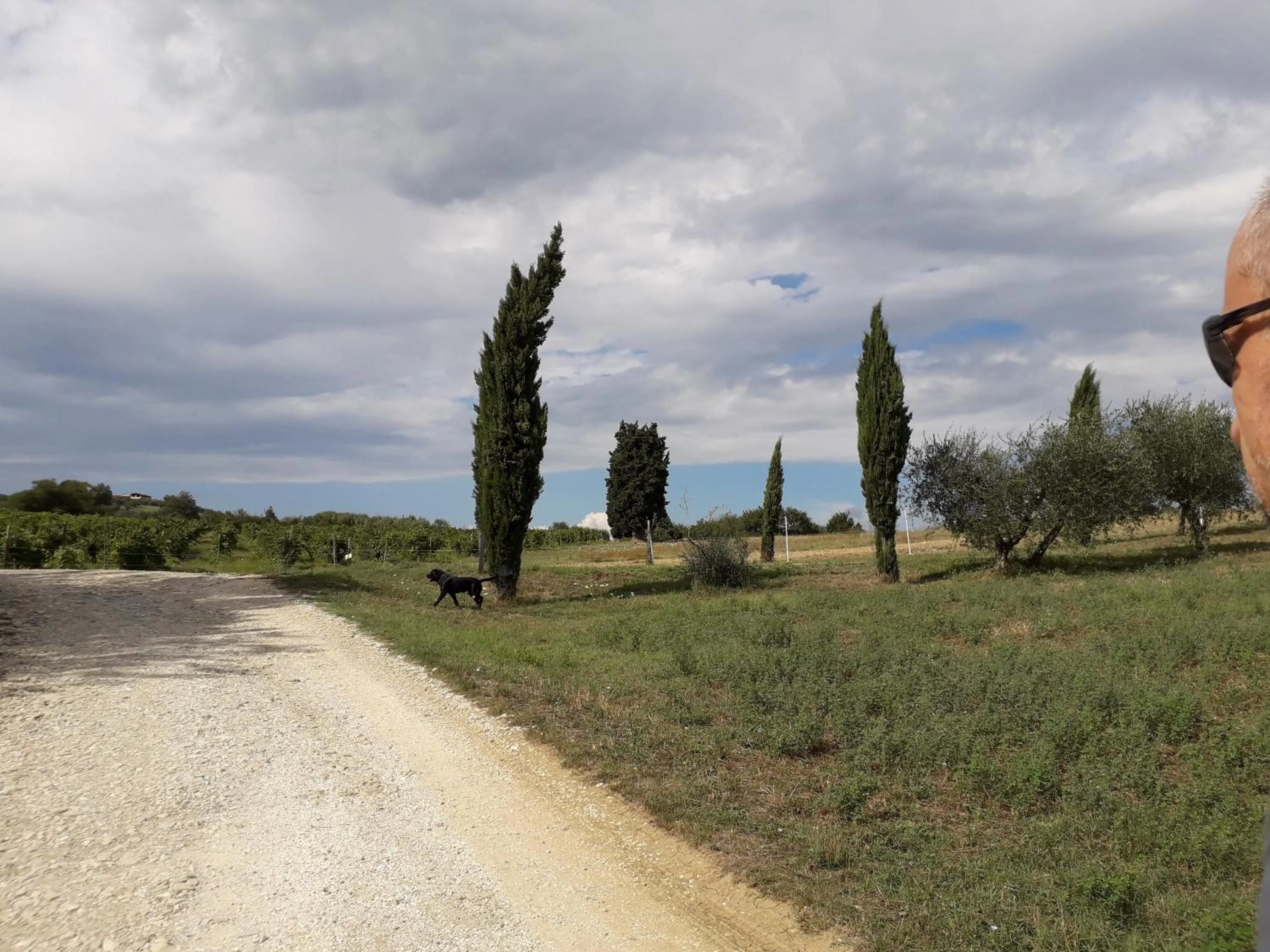 View (from property/room) in Villa Francesca
