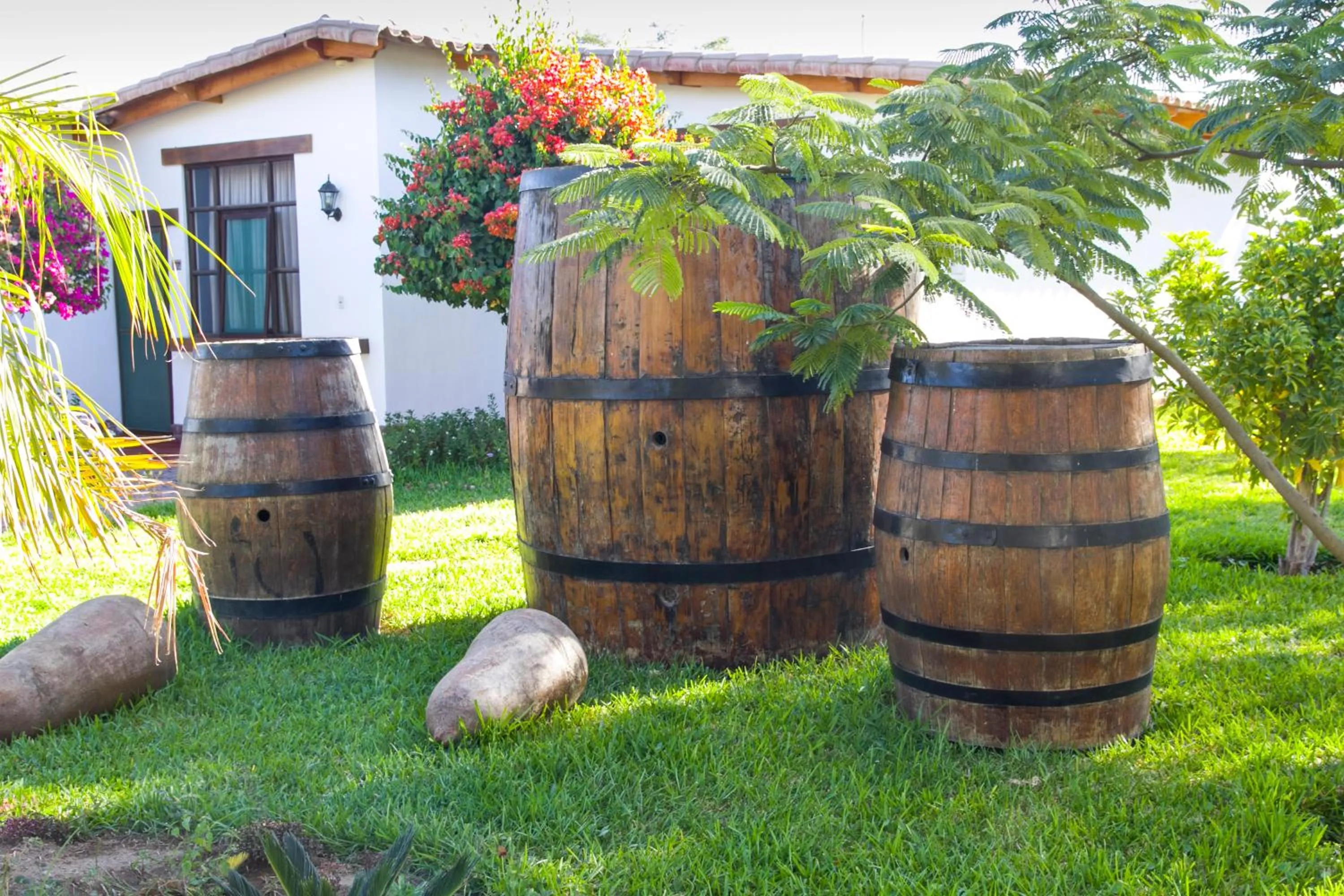 Garden view in Casa Hacienda Nasca Oasis