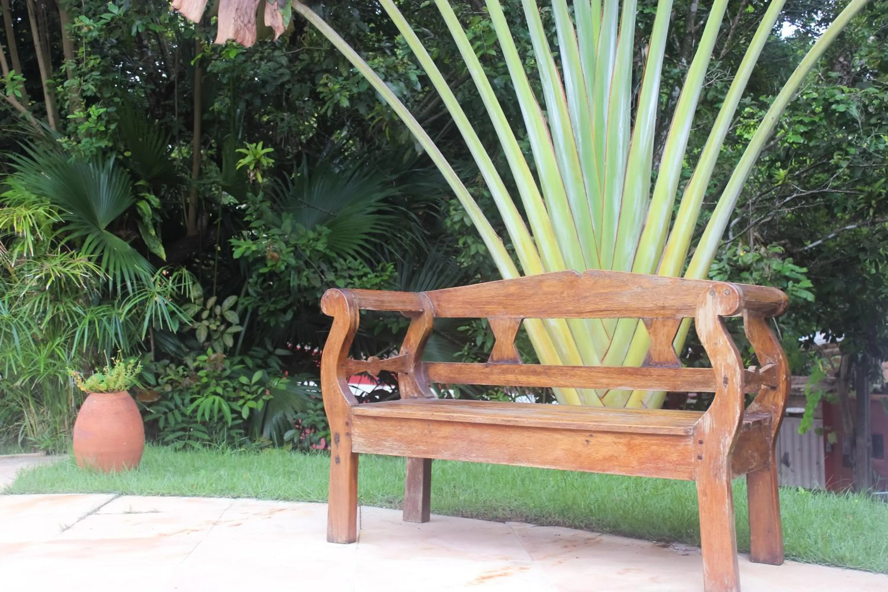 Garden in Pousada Catamara